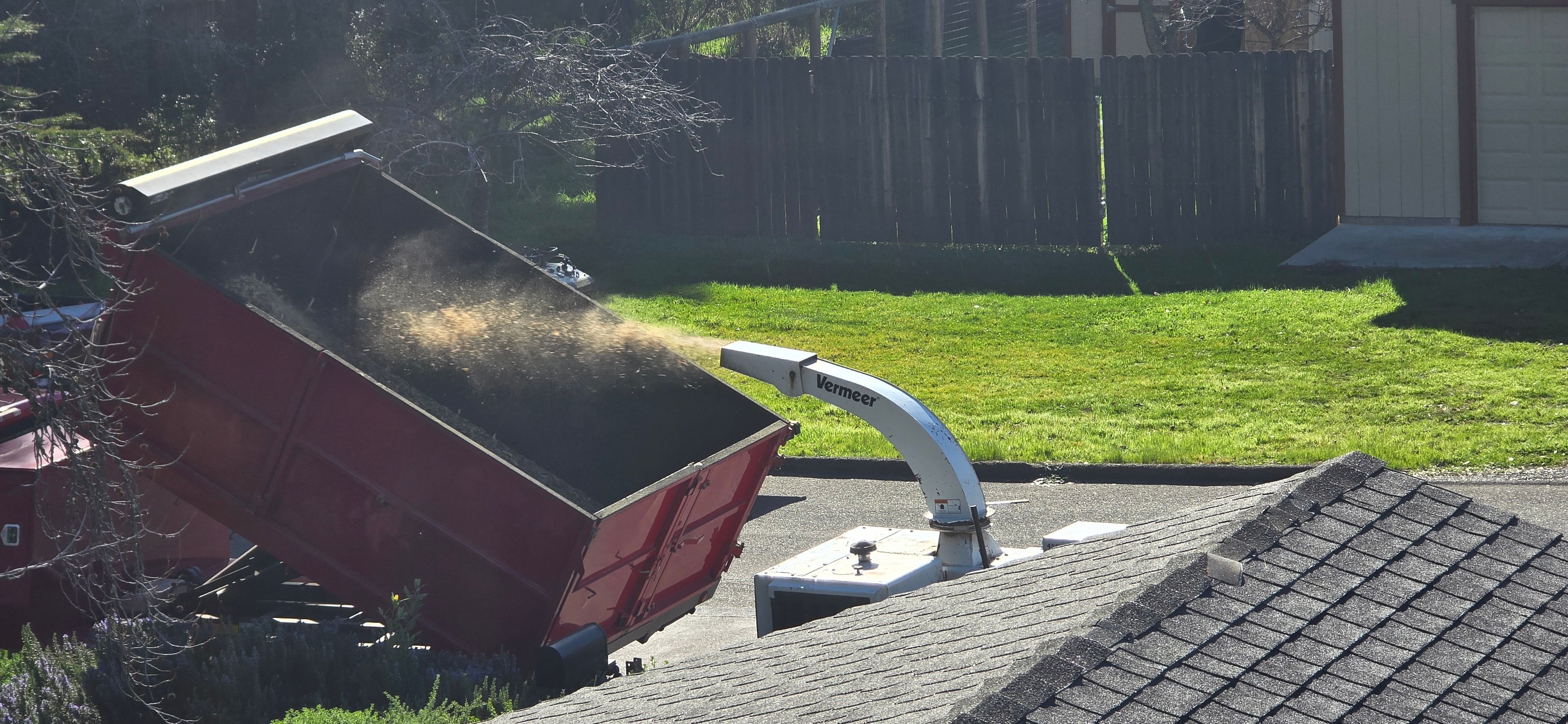  for George Staddan's Professional Tree Care in Placerville, CA