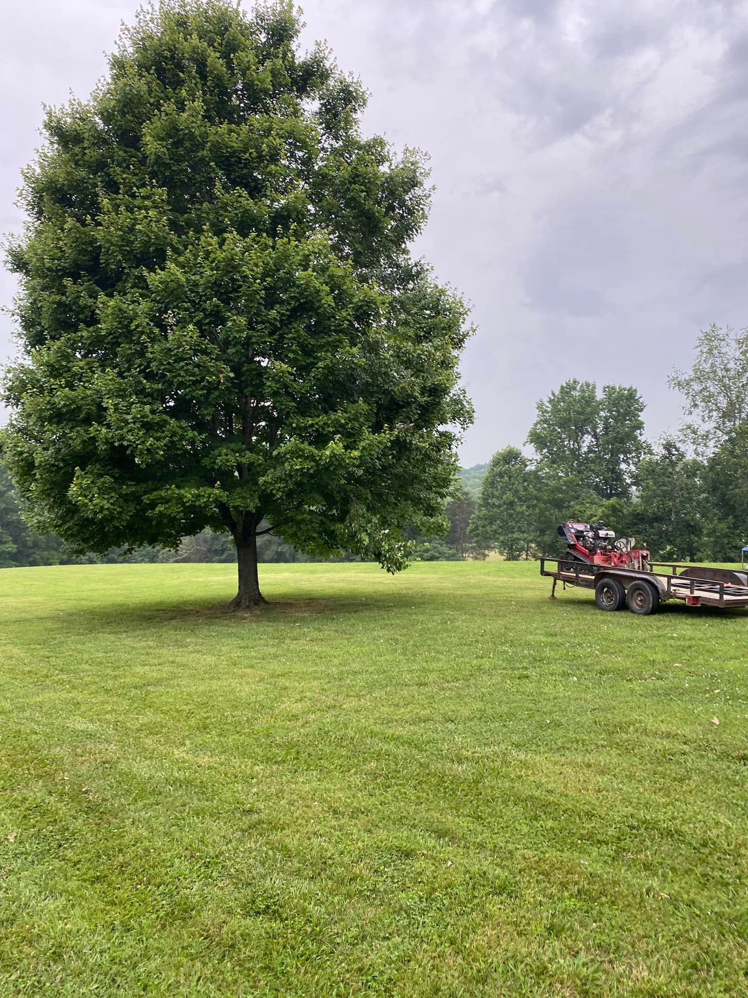 Fall and Spring Clean Up for Atwood’s Tree Care in Liberty,  KY