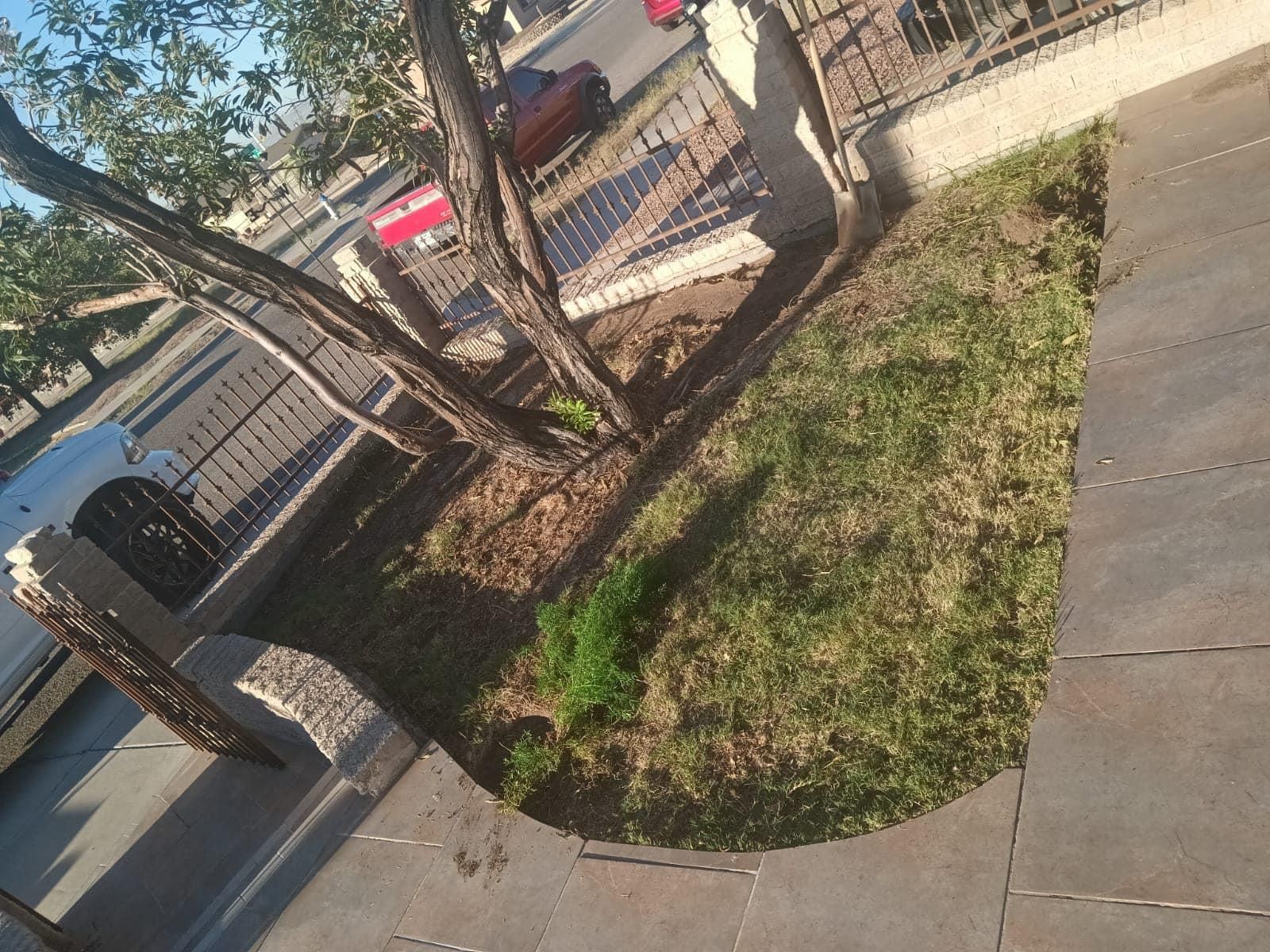  for Oasis Landscaping LLC  in El Paso, TX