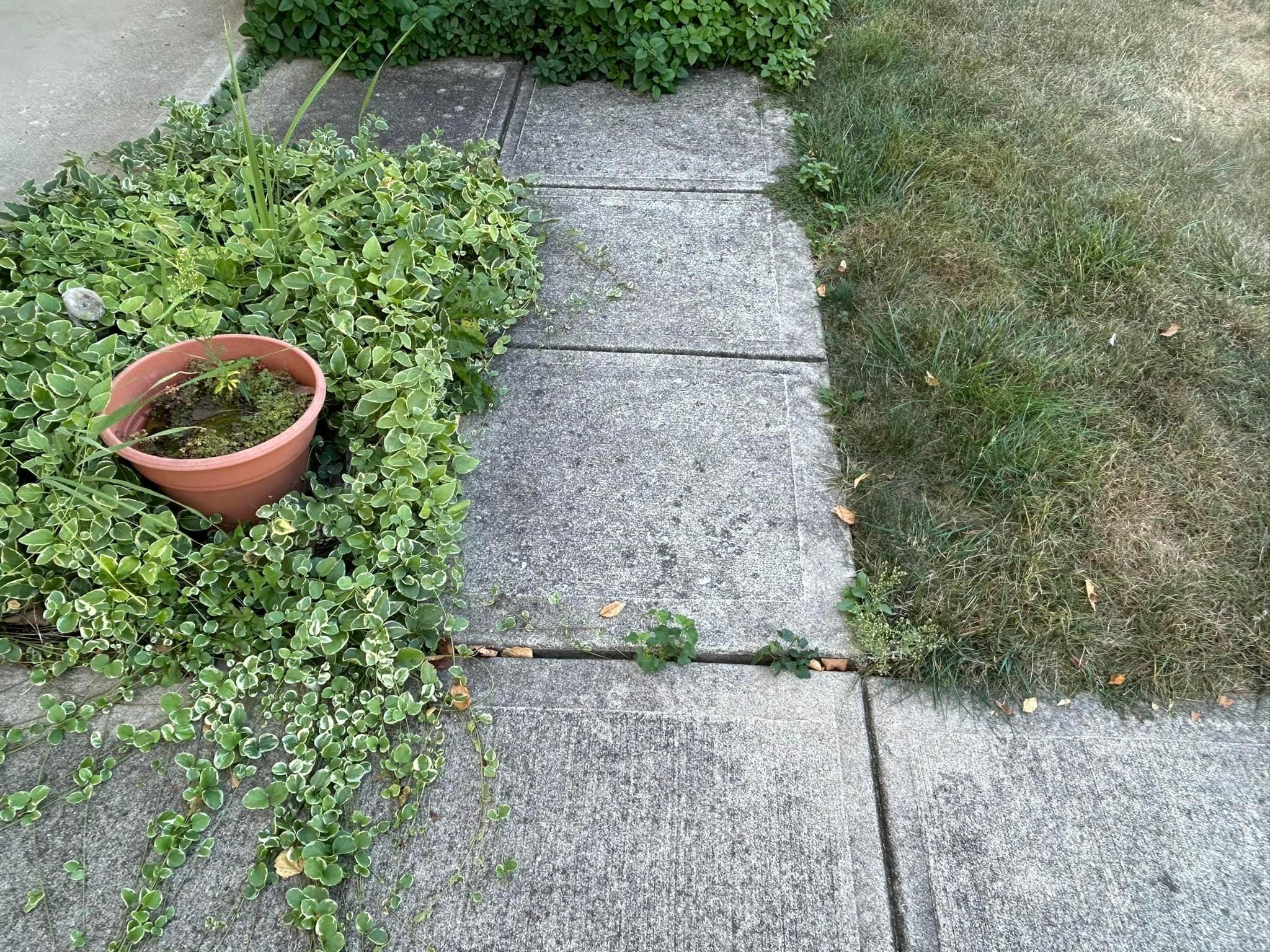  for Bearforce Lawn Care LLC in Greenfield, IN