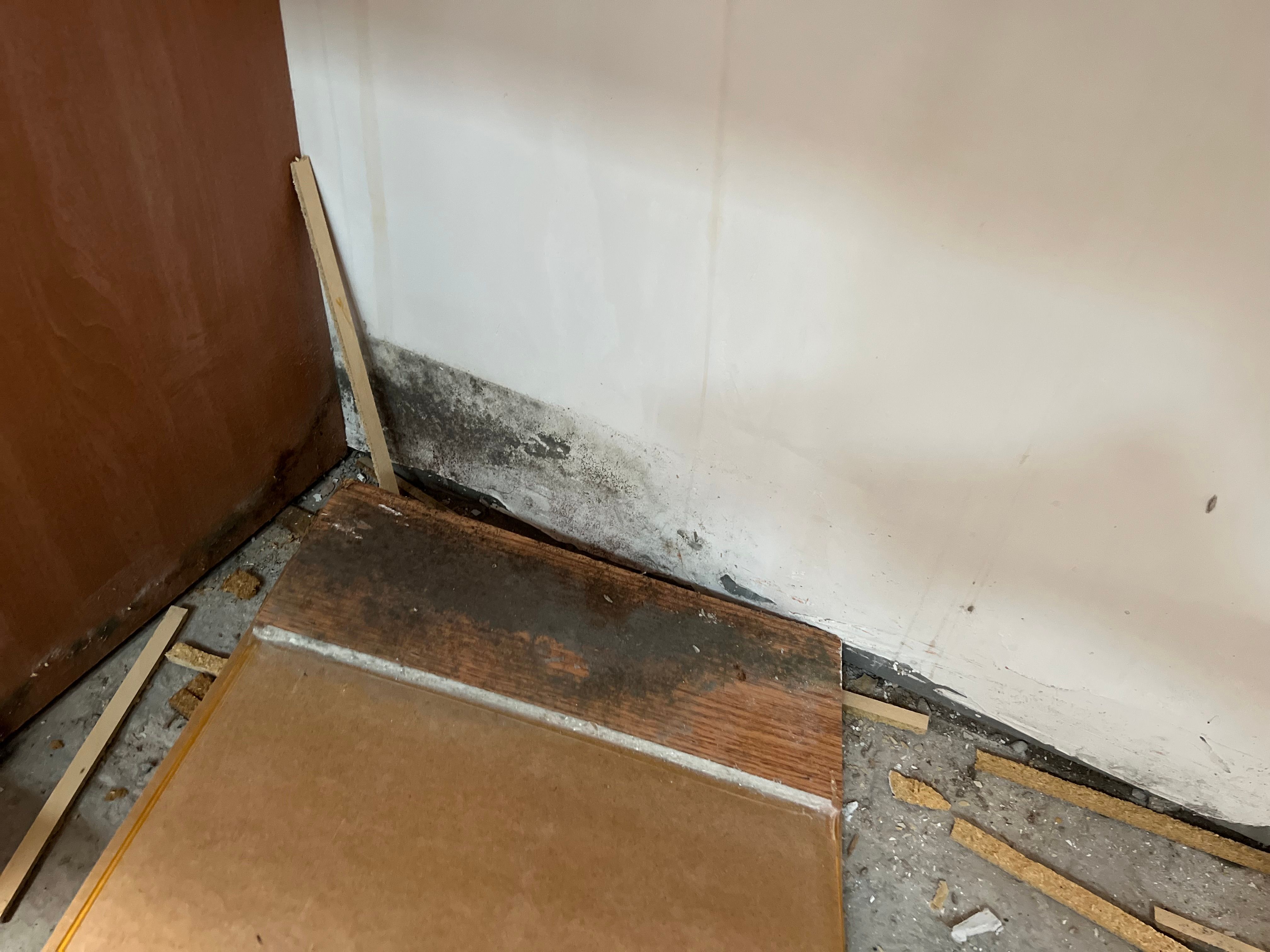  for N&D Restoration Services When Disaster Strikes, We Come In in Cape Coral,  FL