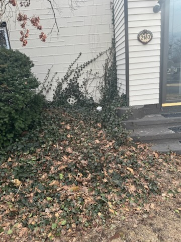 All Photos for Landscape & Lawn Care Pros in Reading, PA