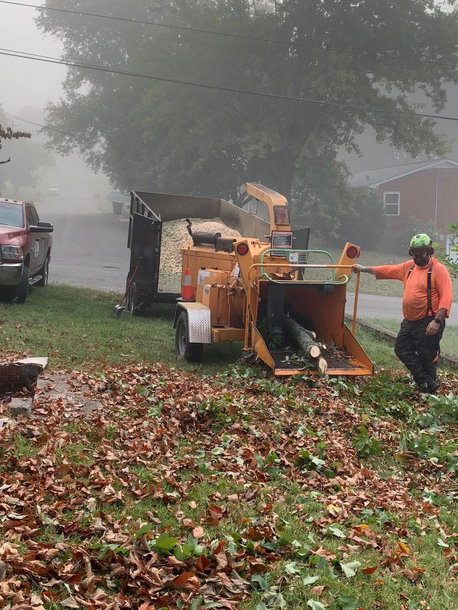  for Grainger Tree Service in Blaine, TN