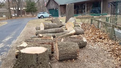  for O&O Tree Service in Rockford, IL