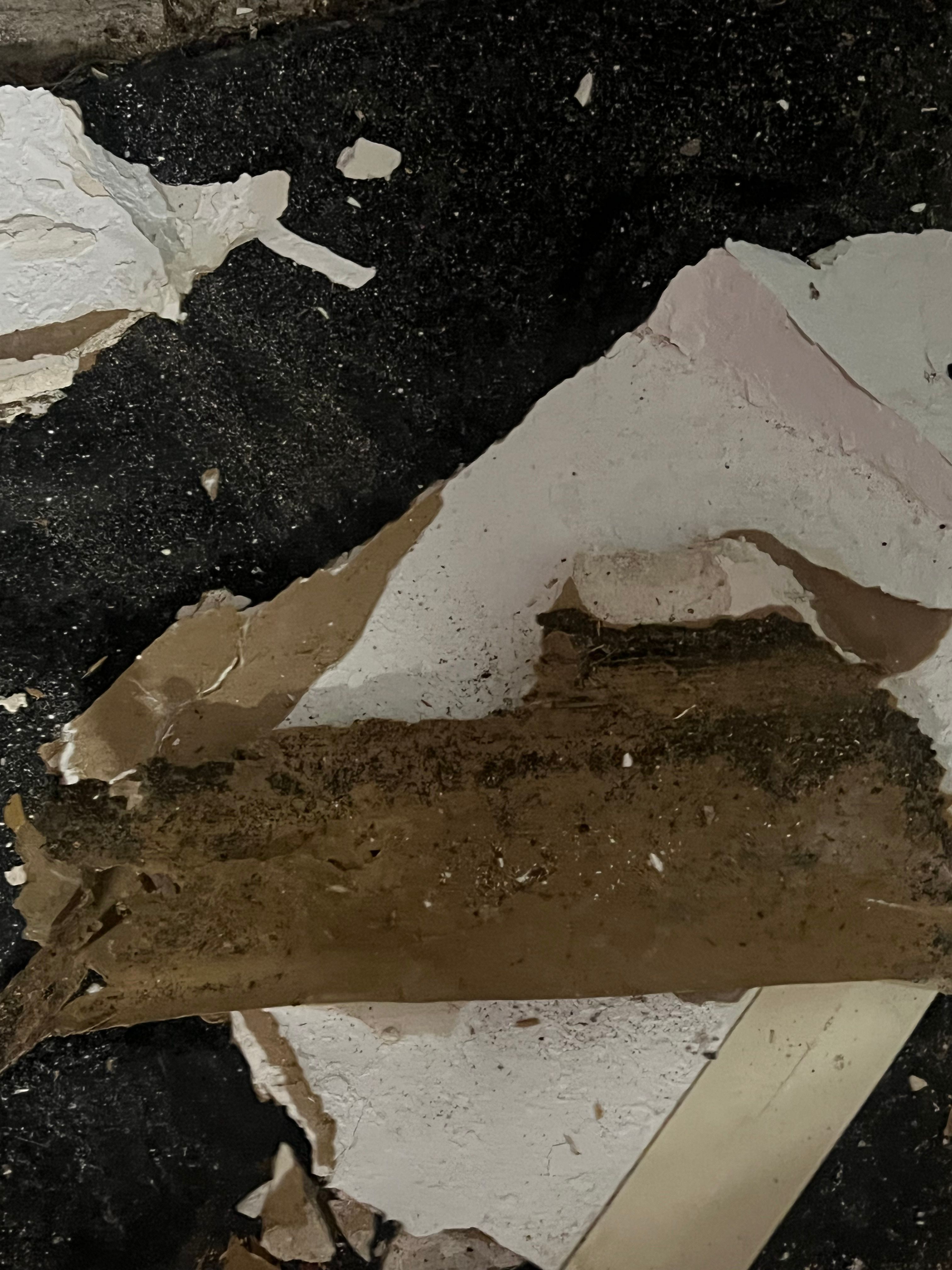  for N&D Restoration Services When Disaster Strikes, We Come In in Cape Coral,  FL