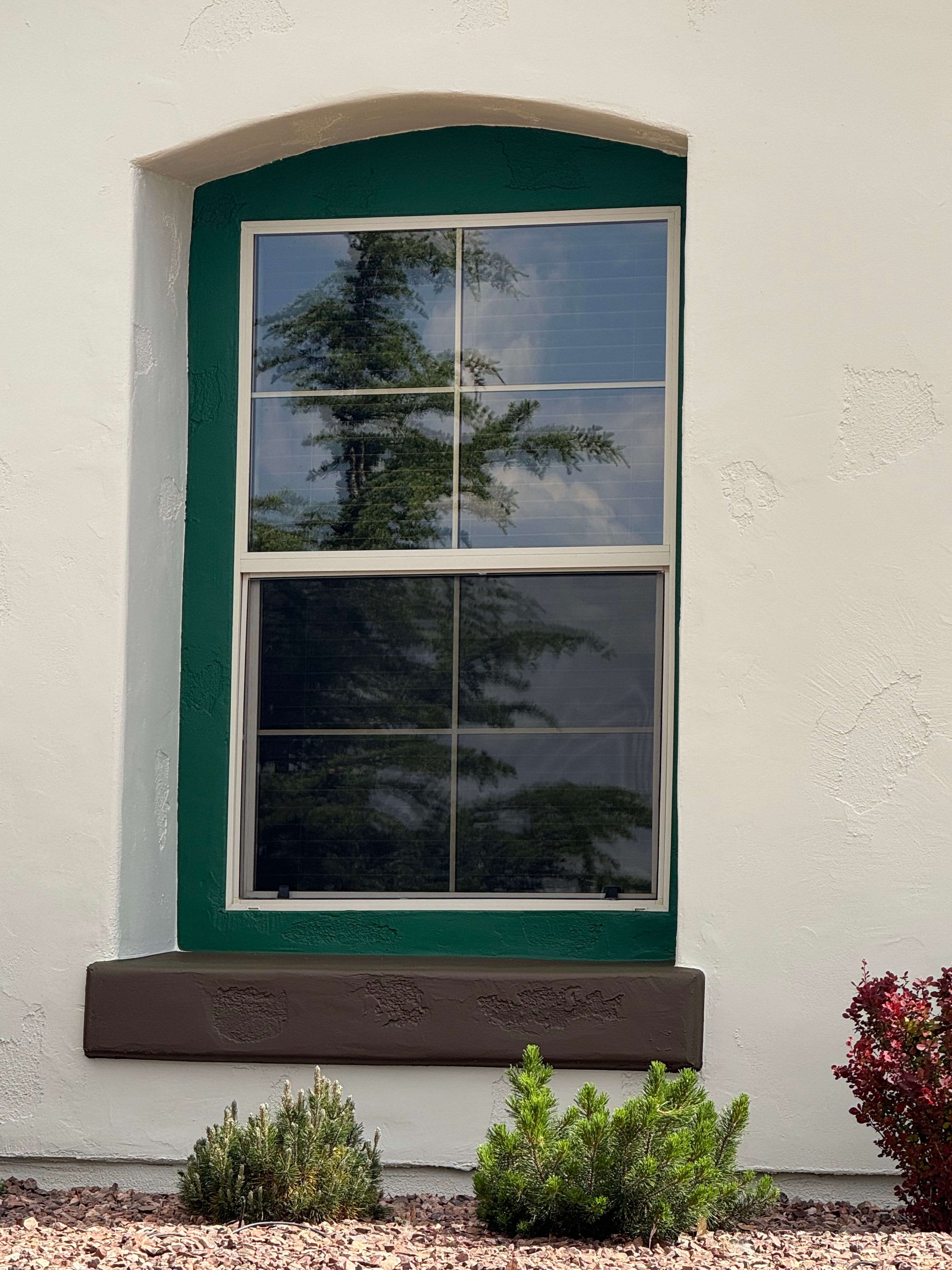  for True Vision Painting in Prescott Valley, AZ