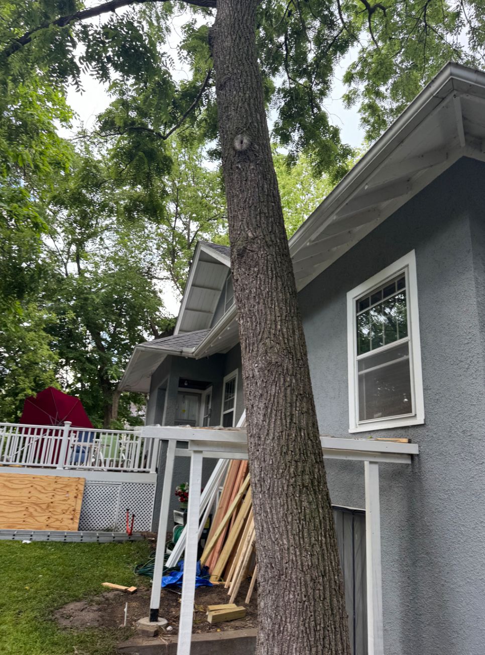 All Photos for Dittmer Tree Service in Davenport, IA