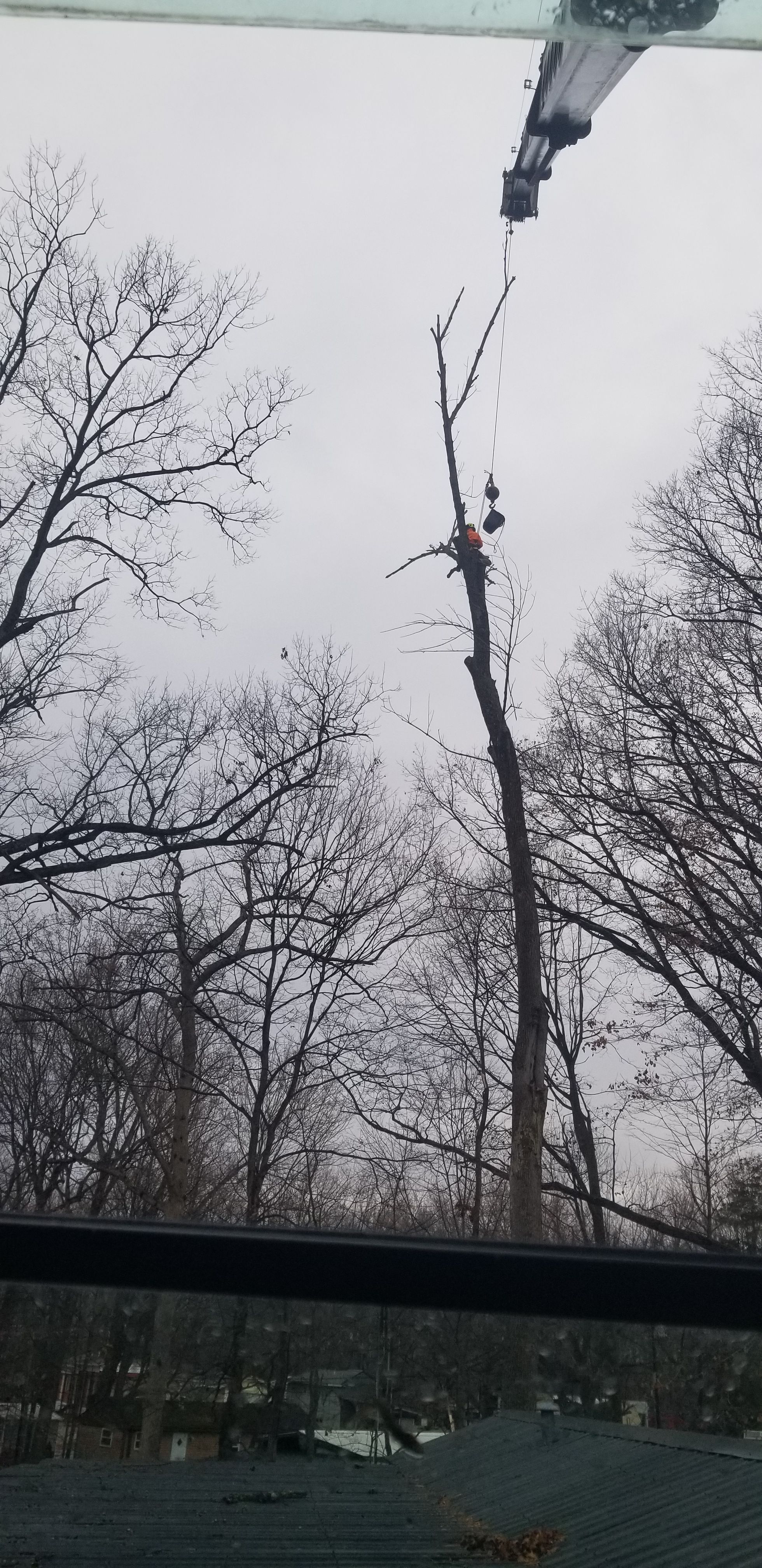  for Advanced Tree Solutions in Rockville, IN