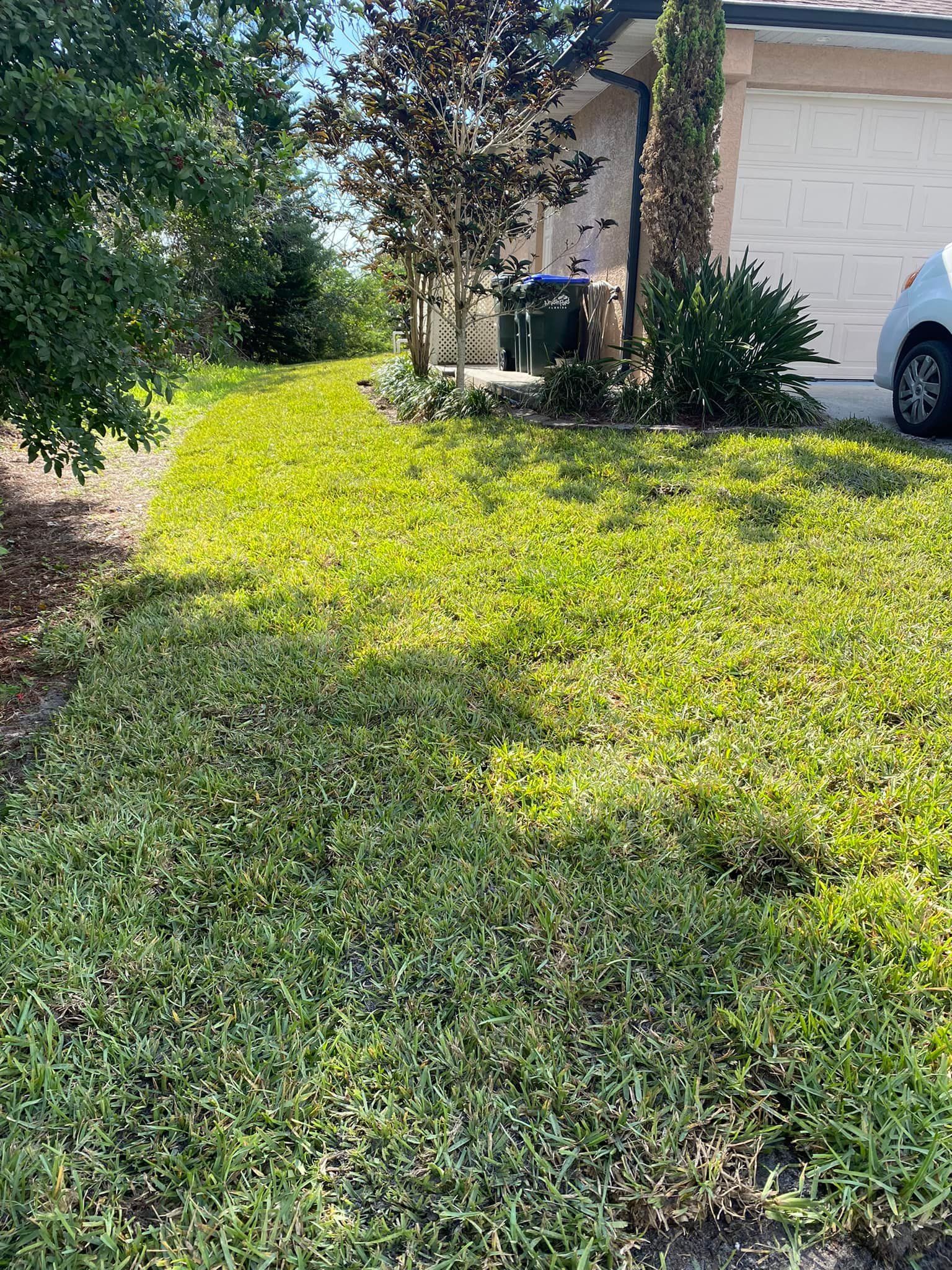 Sodding for Sunshine Sod & More Inc. in Arcadia, FL