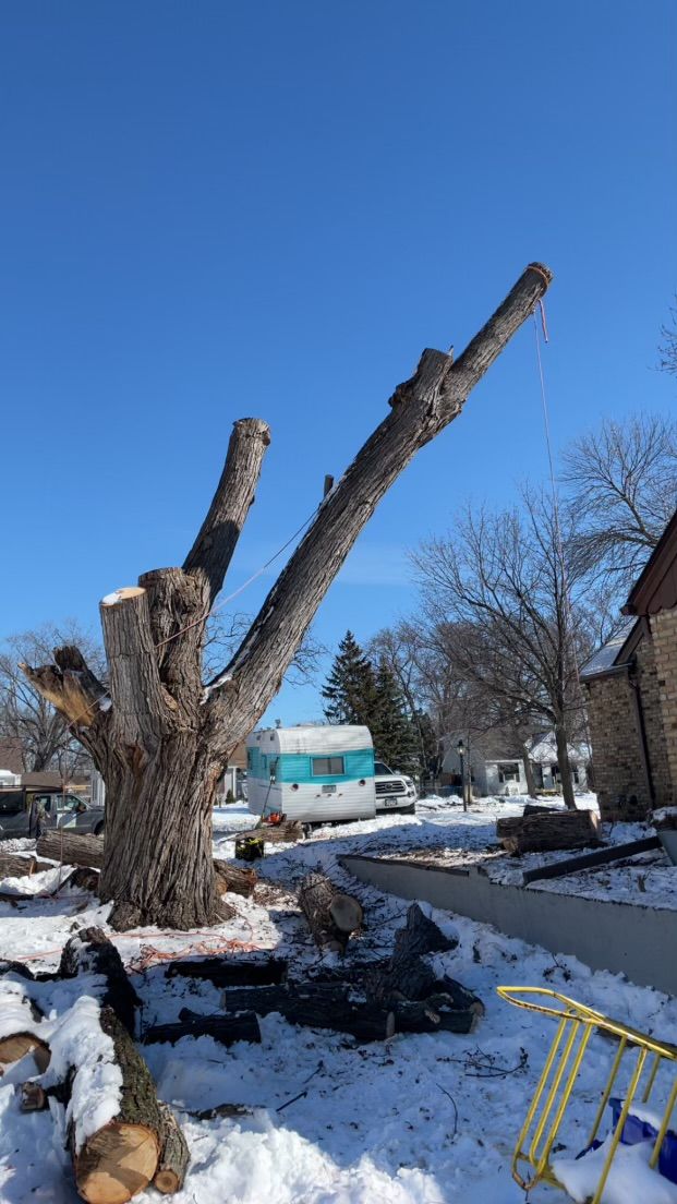 Trees for K and Z Lawn Care in Andover, MN