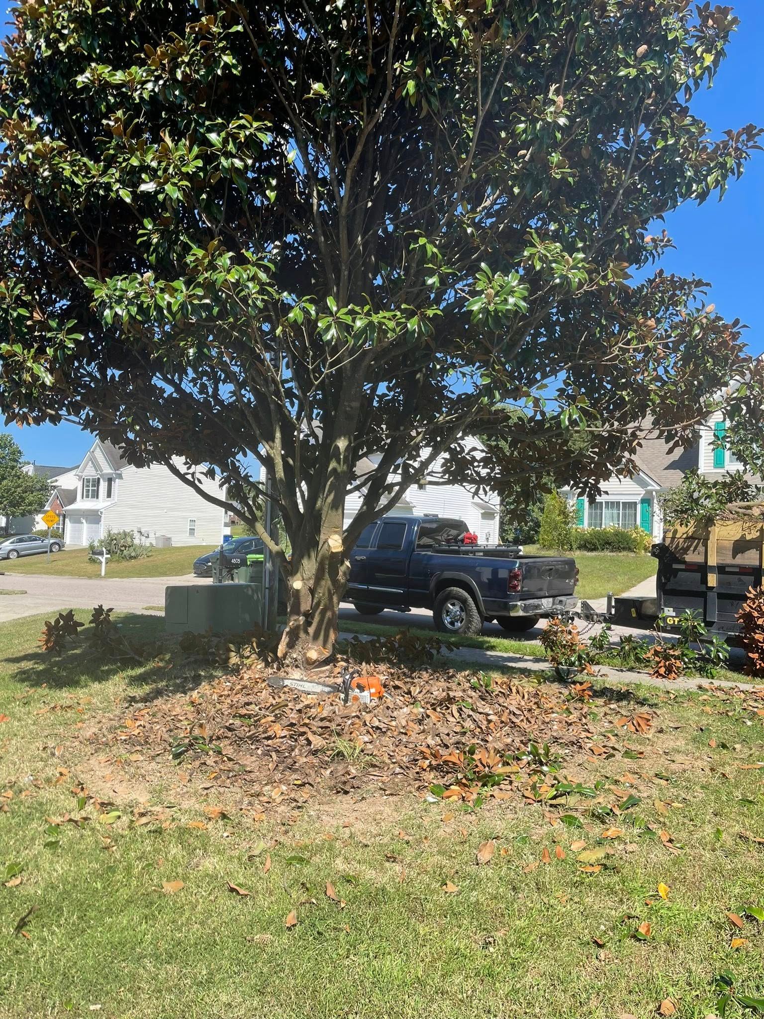  for J&J Tree Services in Raleigh, NC