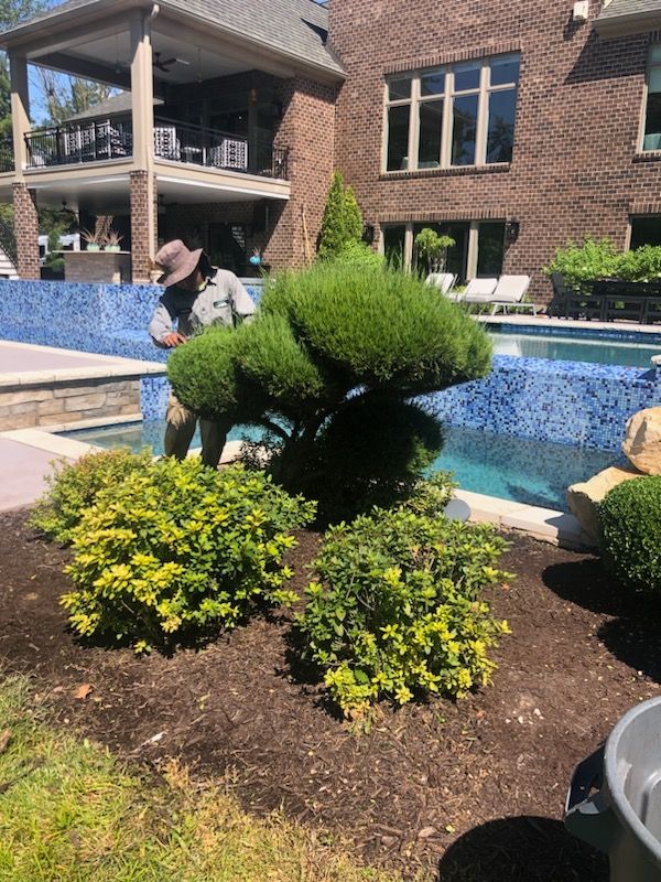  for Contemporary Landscape in St. Louis, MO