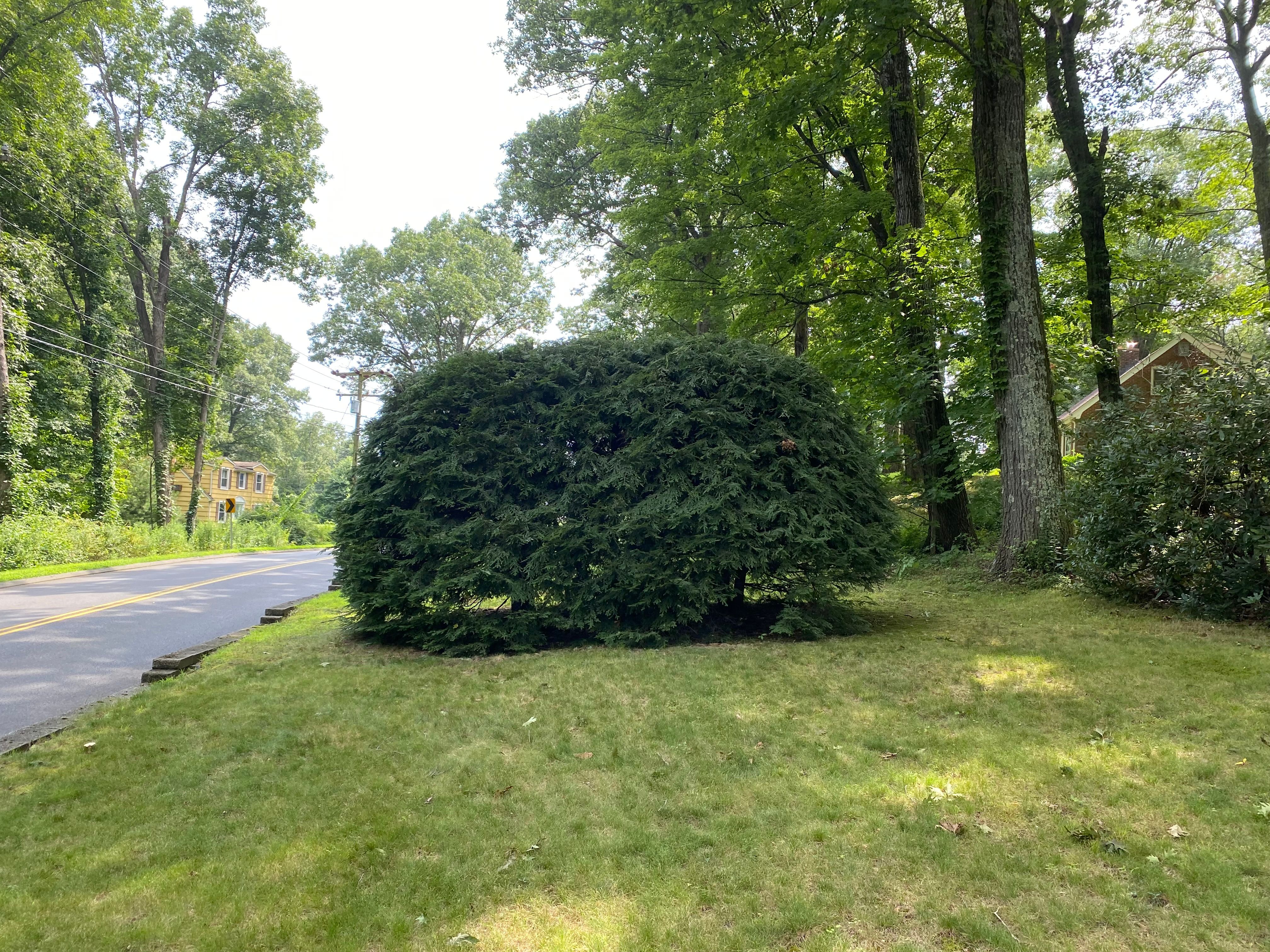  for Stevenson Property Maintenance in Cheshire, CT