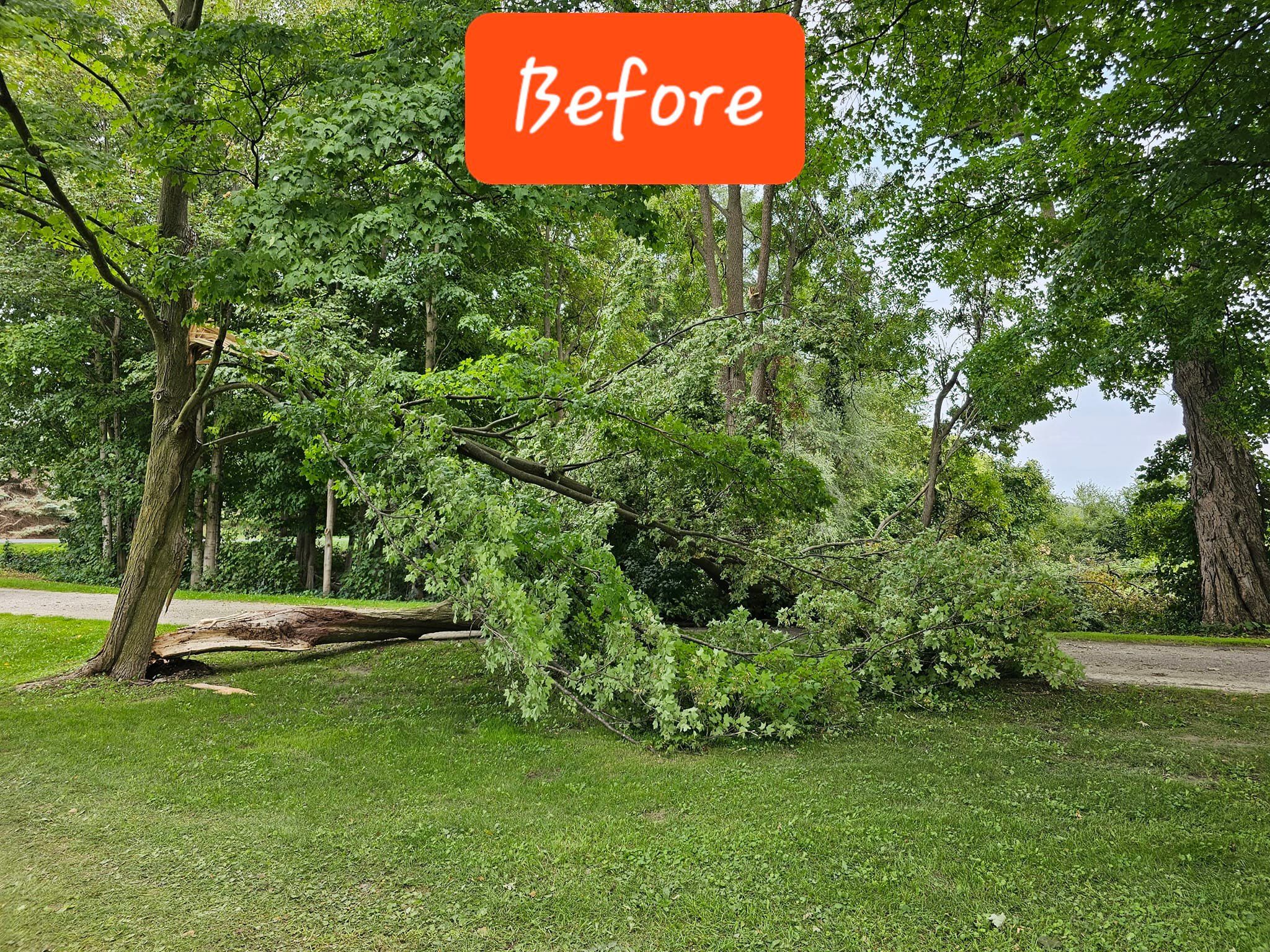  for D Hale Tree Service in Dexter, MI
