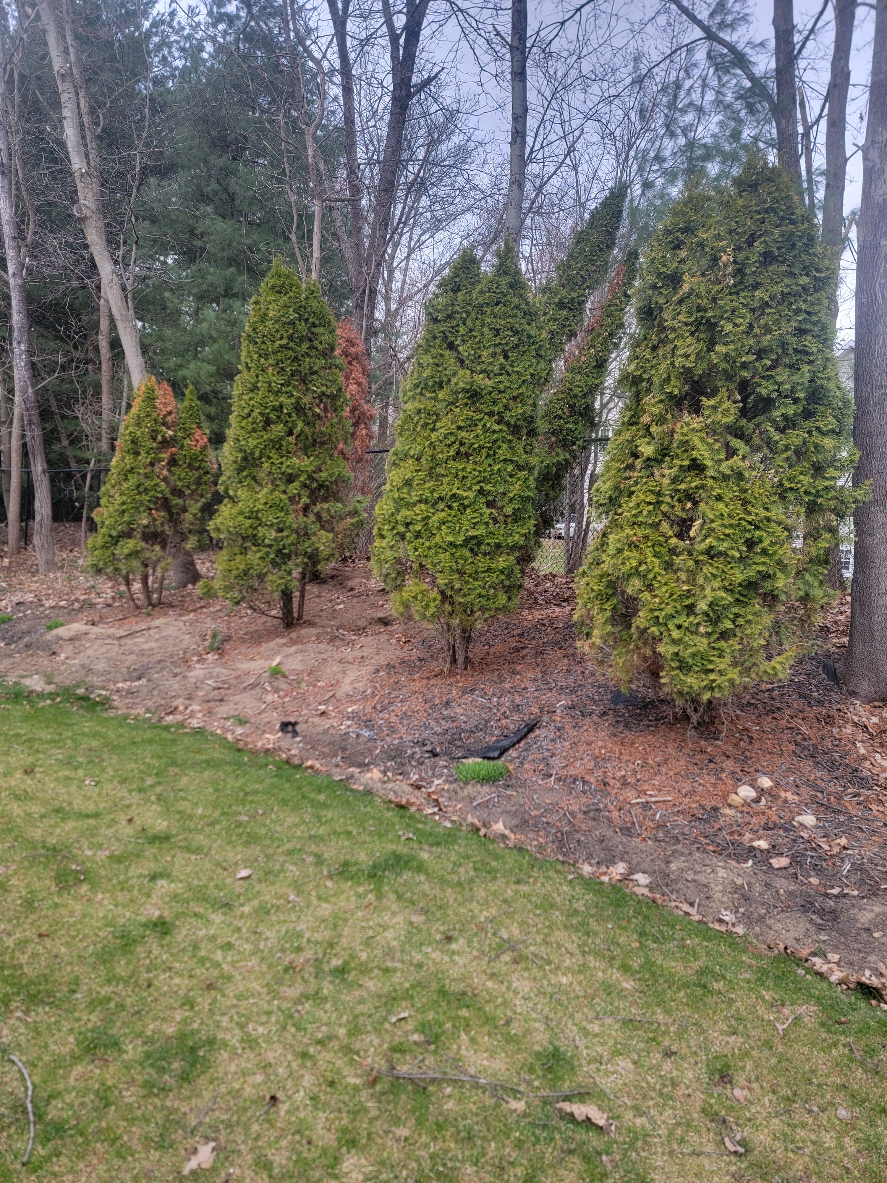  for Sweet Scapes in Ballston Spa, NY