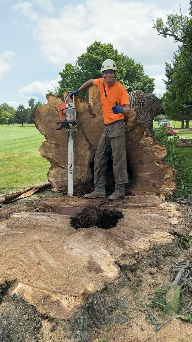 Tree Removal for Advanced Tree Solutions in Rockville, IN