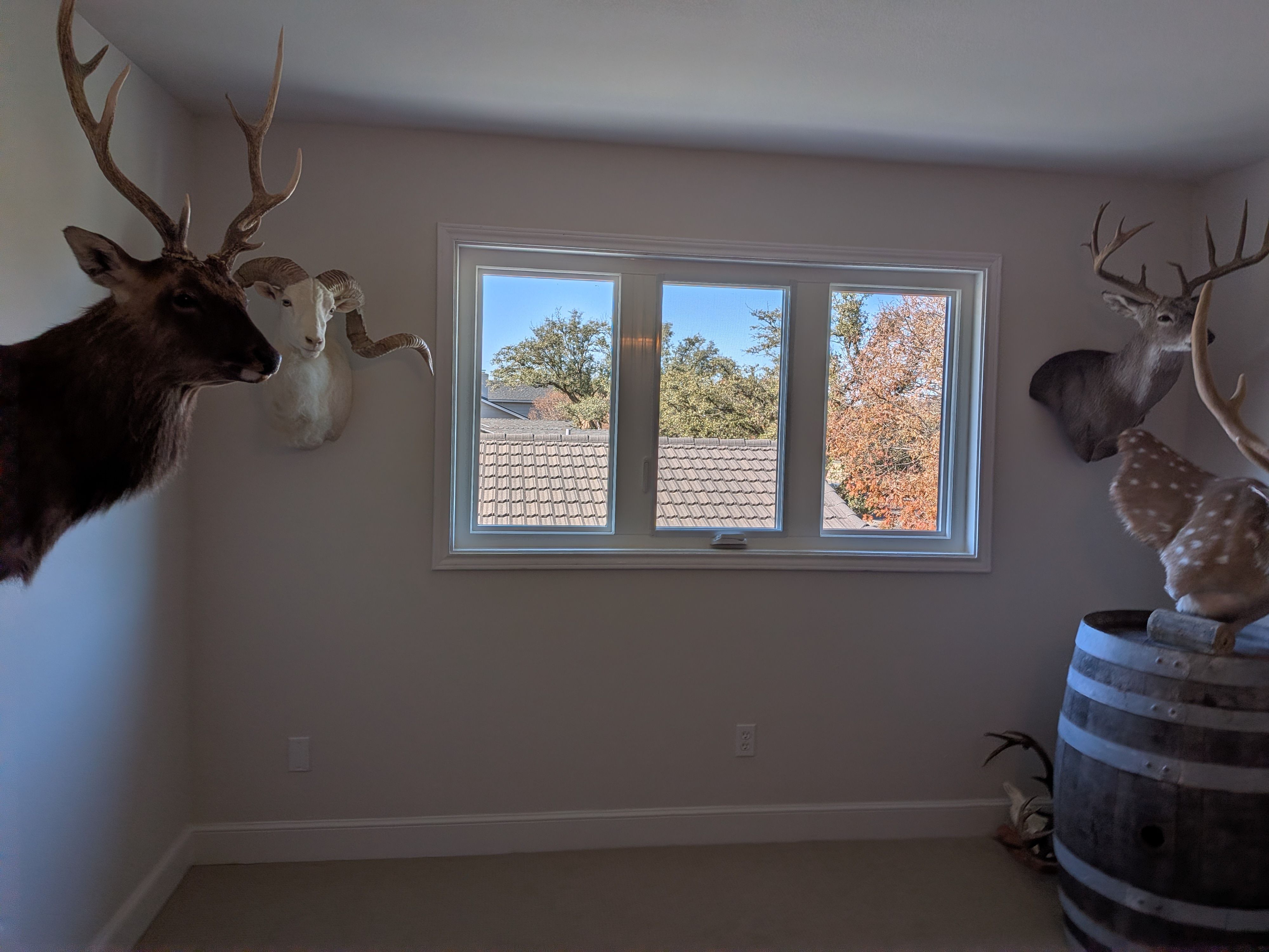  for CR Work Window and Door Services LLC in Lubbock, TX