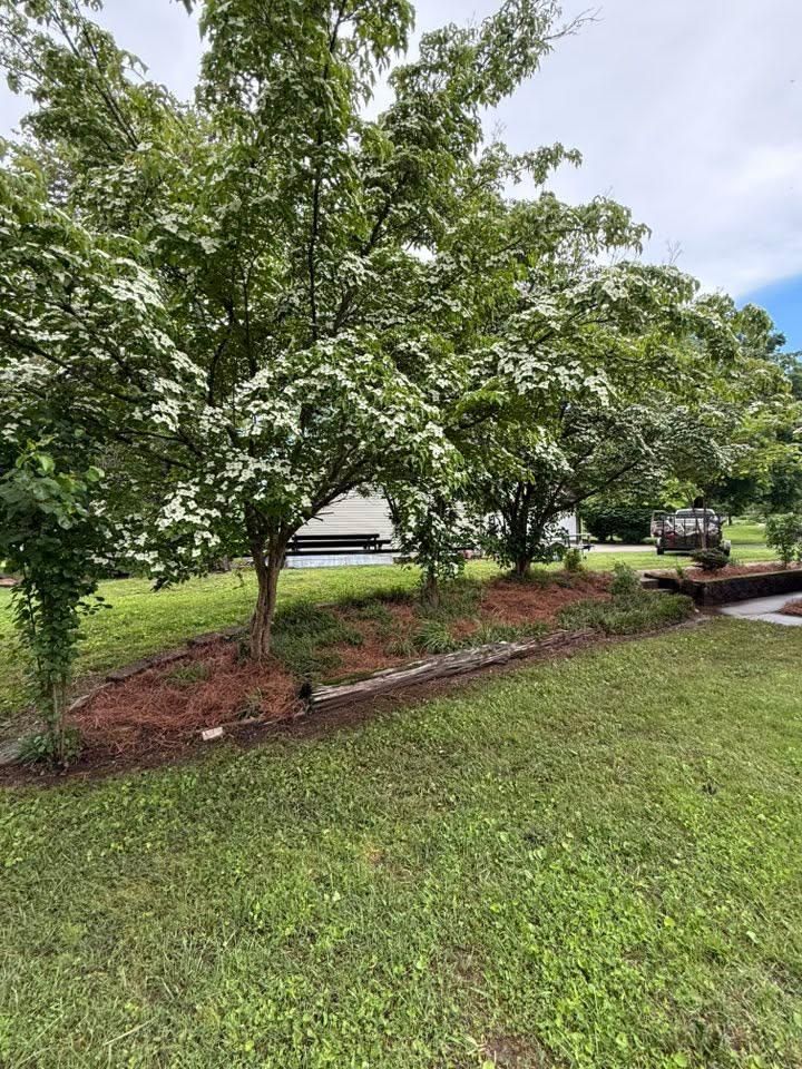  for Wesleys Landscaping in Clinton, TN