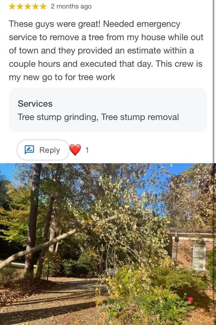  for AB Tree Service in Raleigh, NC