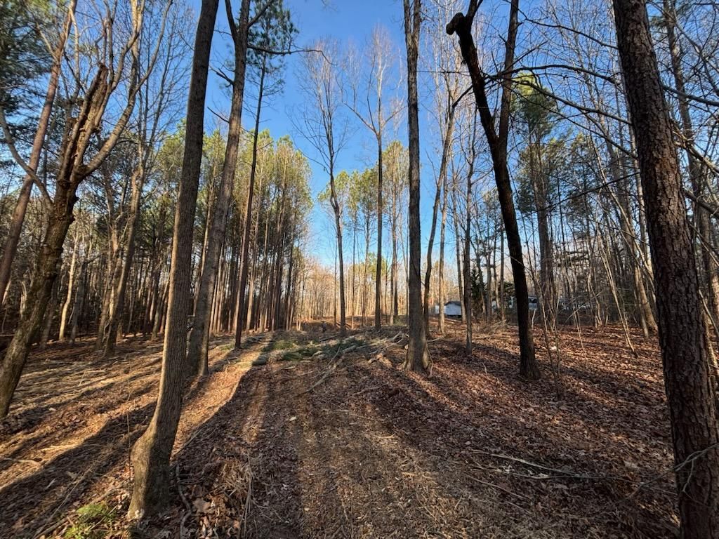  for Carolina Construction Services in Woodleaf, NC