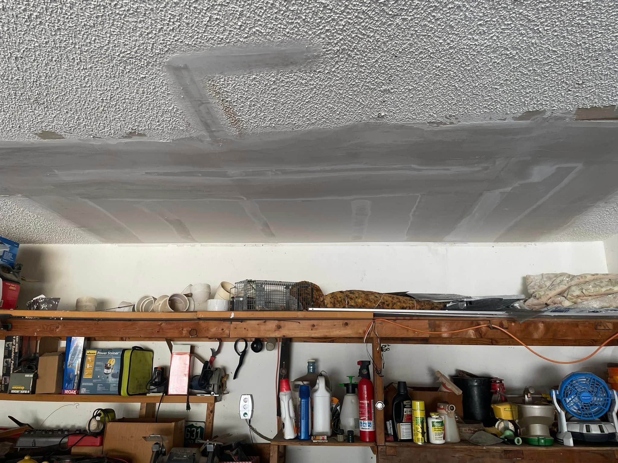  for Texas Steady Drywall and Paint in Austin, TX