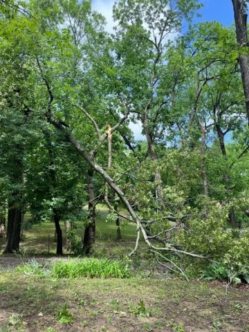  for CND Tree Services in Claremore, OK