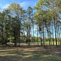  for White’s Land Maintenance in Milton,, FL