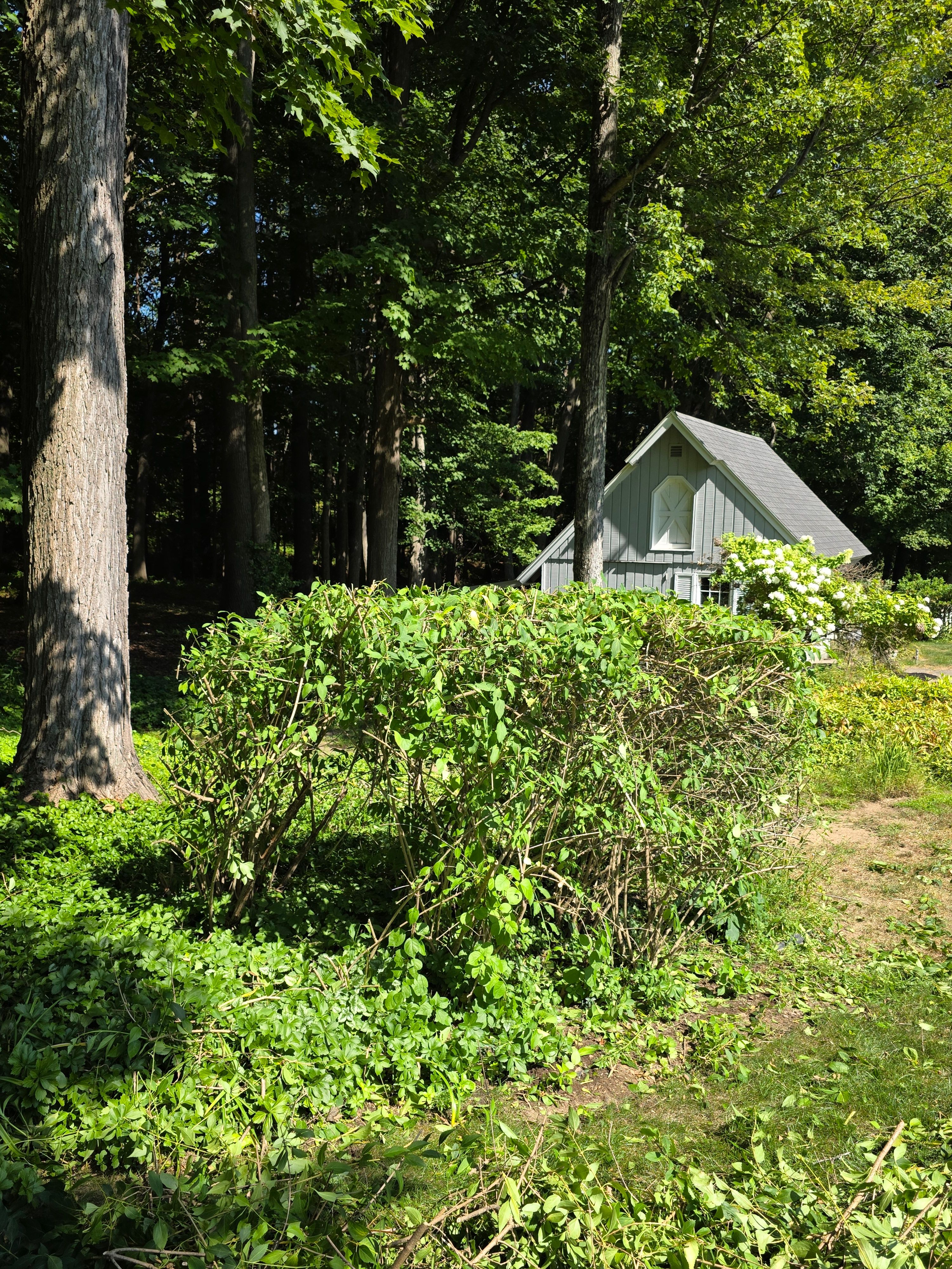  for Sweet Scapes in Ballston Spa, NY