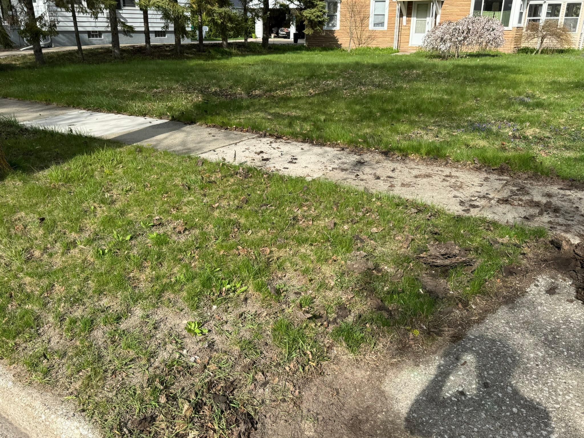  for Daugherty's Tough Lawn Care in Essexville, MI