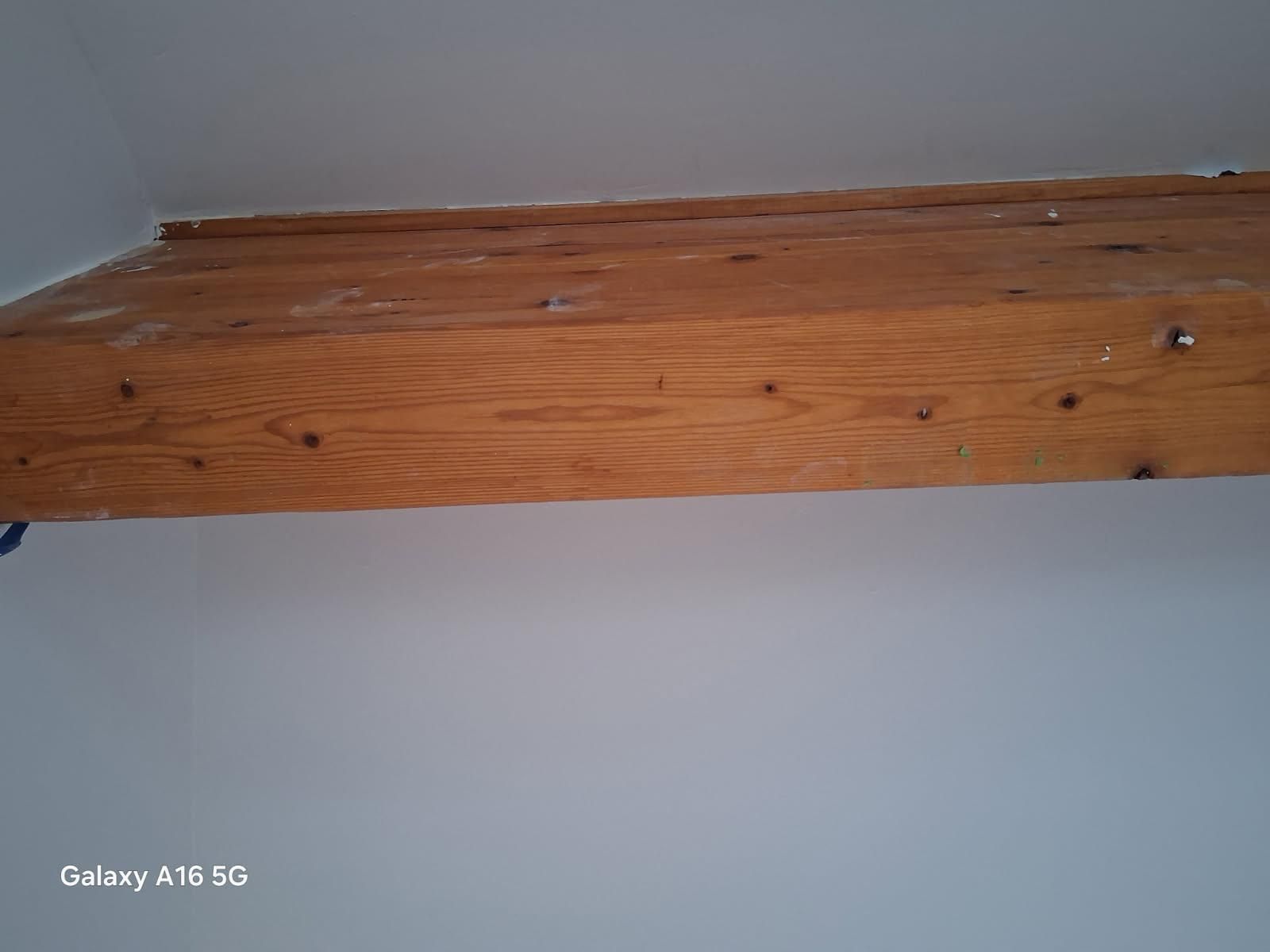  for Deluxe New World Painting Company  in Cheboygan, MI