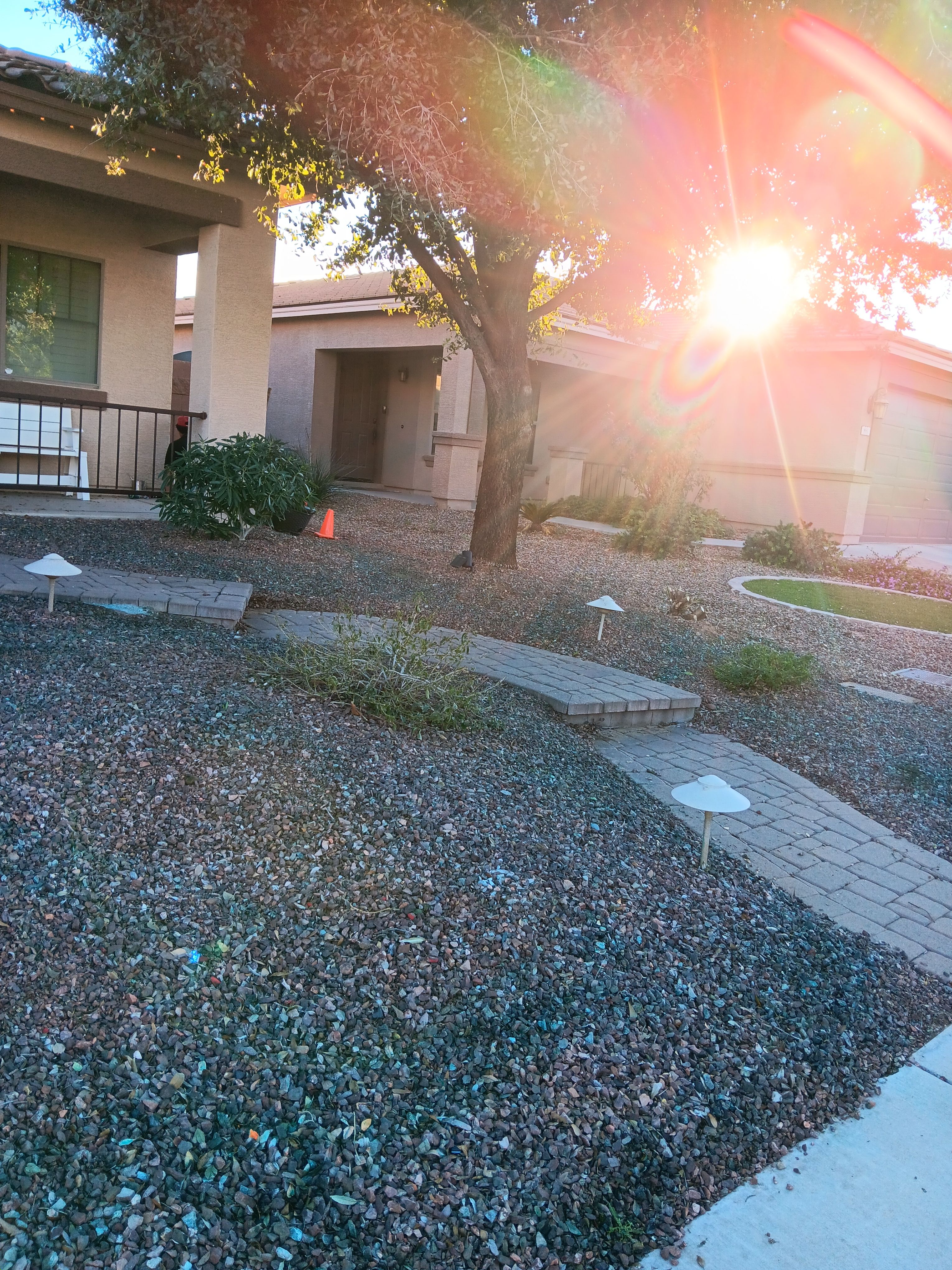  for Family Landscaping in Phoenix, AZ