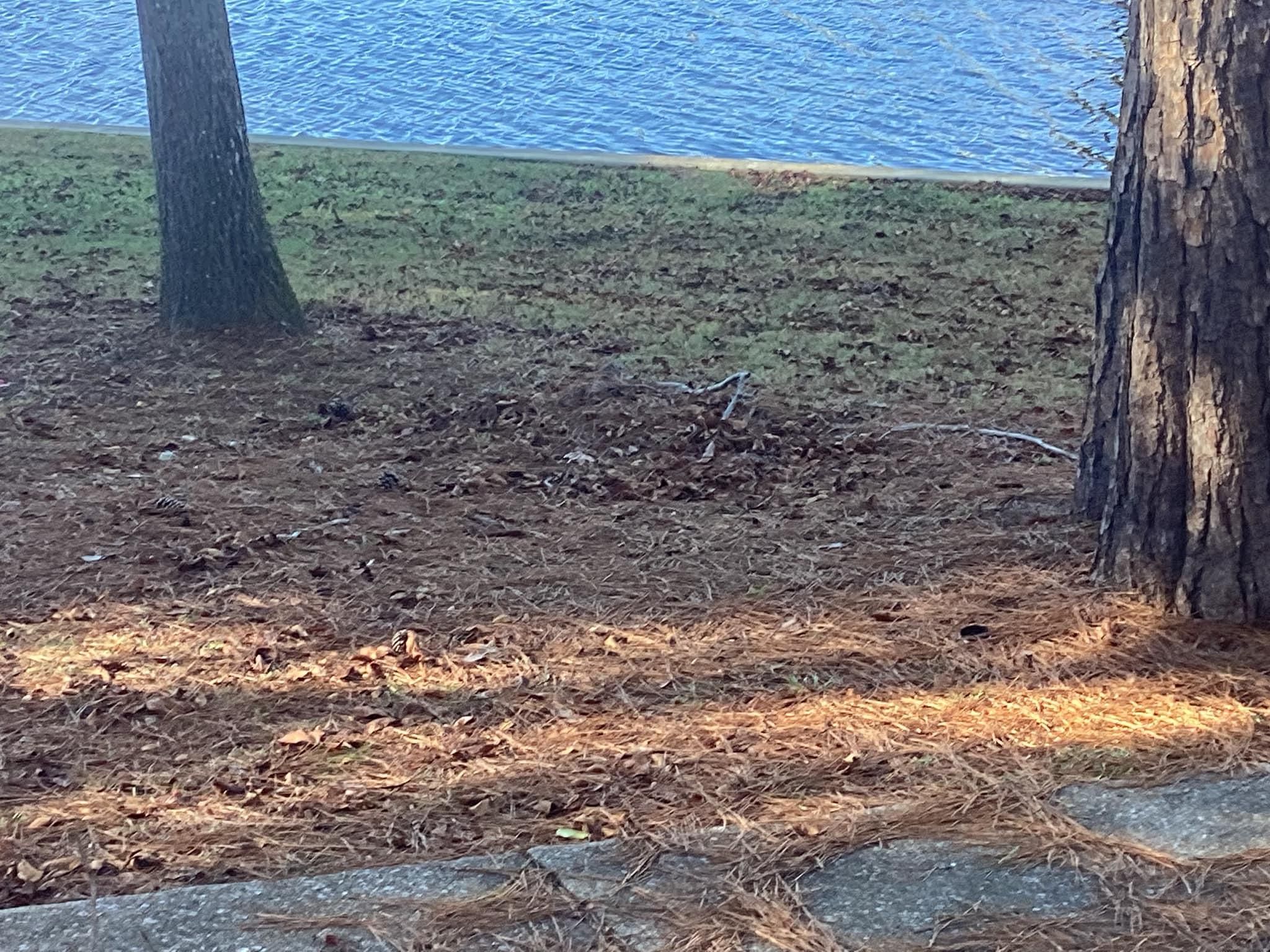  for Xtreme Landscaping & Lawn Care in Lincoln, AL