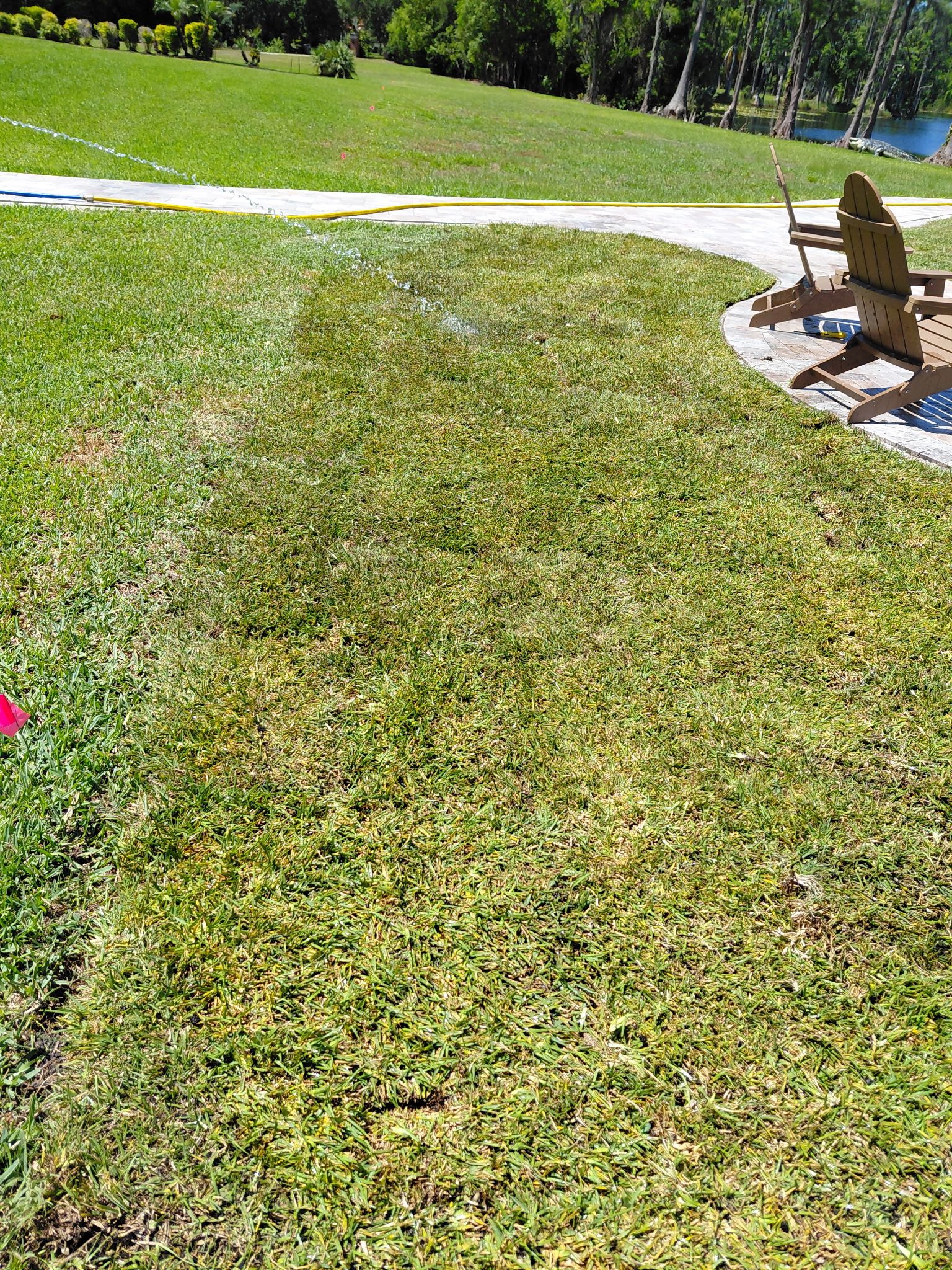  for Gulf Bay Sod in Clearwater, FL