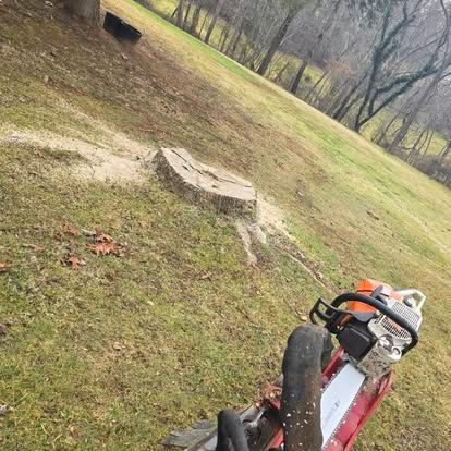  for Lopez Landscaping and Tree Service  in Waynesville, NC