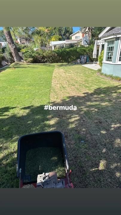  for Benito's Gardening in San Juan Capistrano, CA