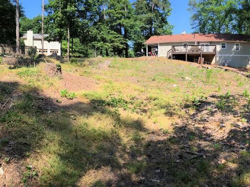  for Falcon stump grinding Tree services in Loganville, GA