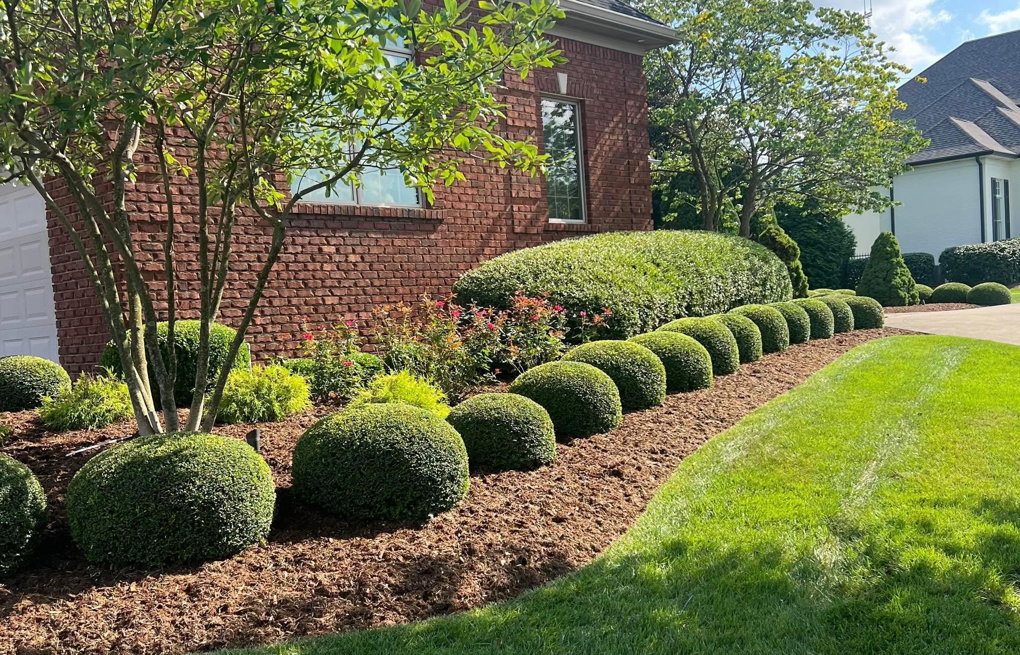  for Full Service Landscaping in Louisville, KY