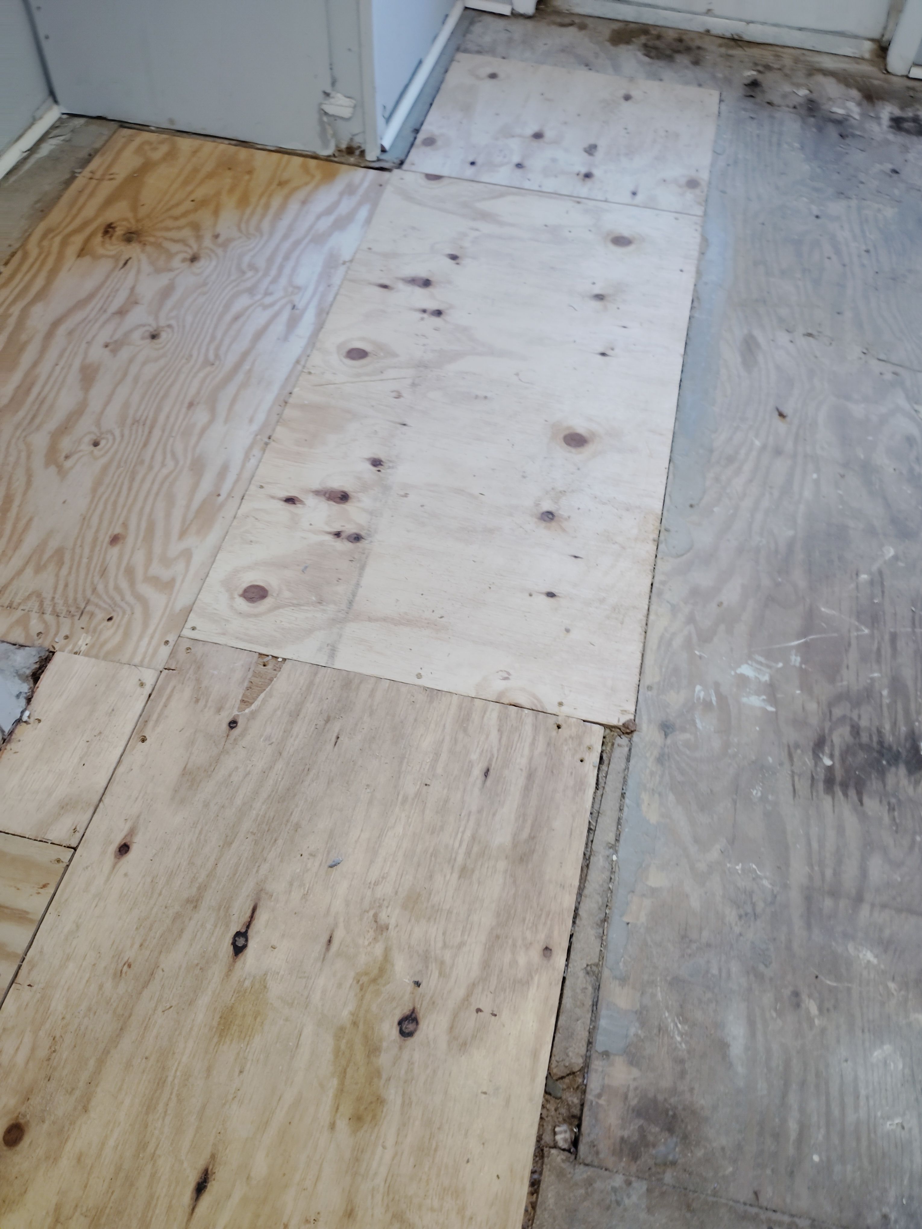  for Infinite Development and Management, LLC in Columbia, SC