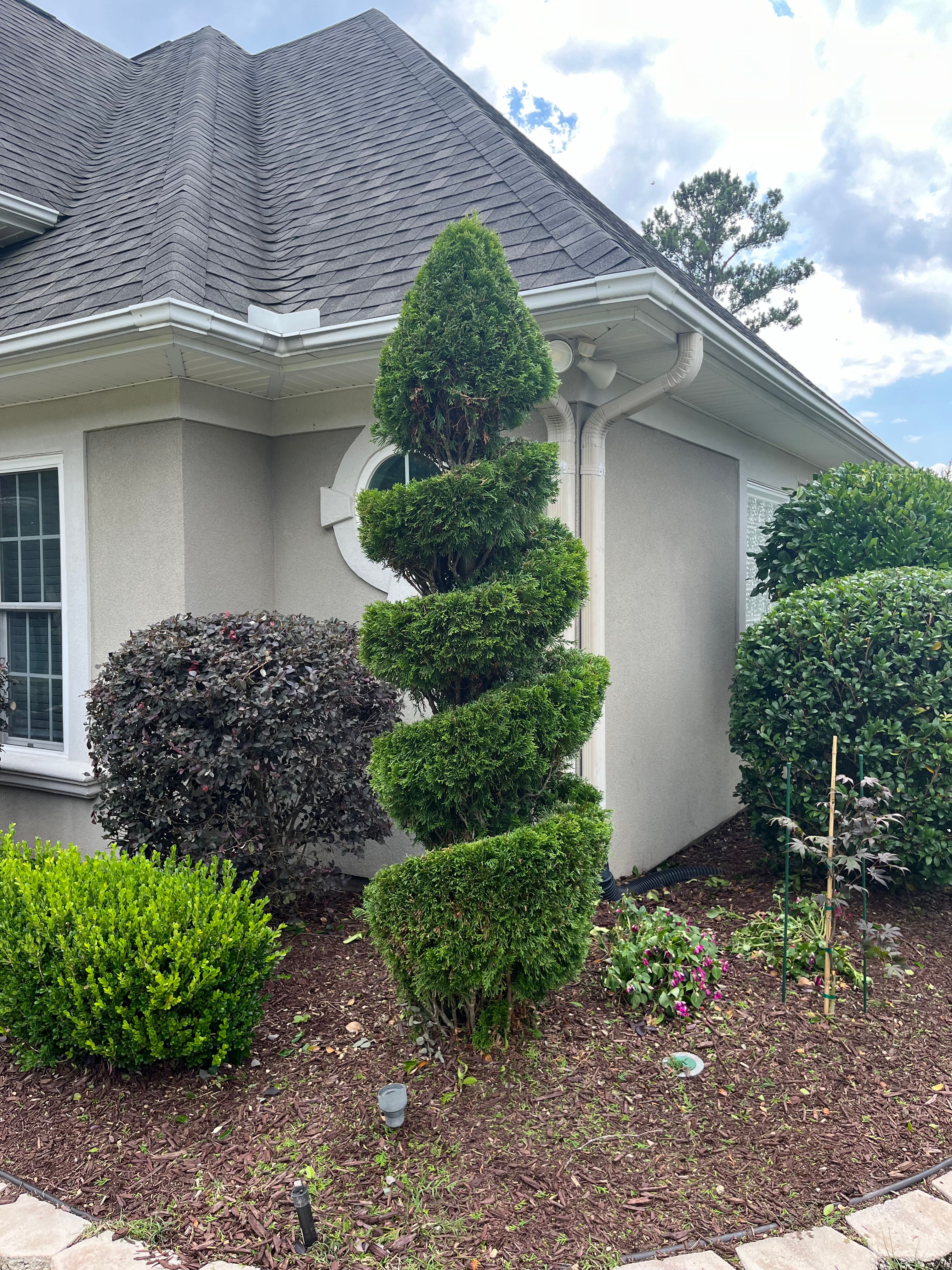  for New Creation Landscaping in Myrtle Beach, SC