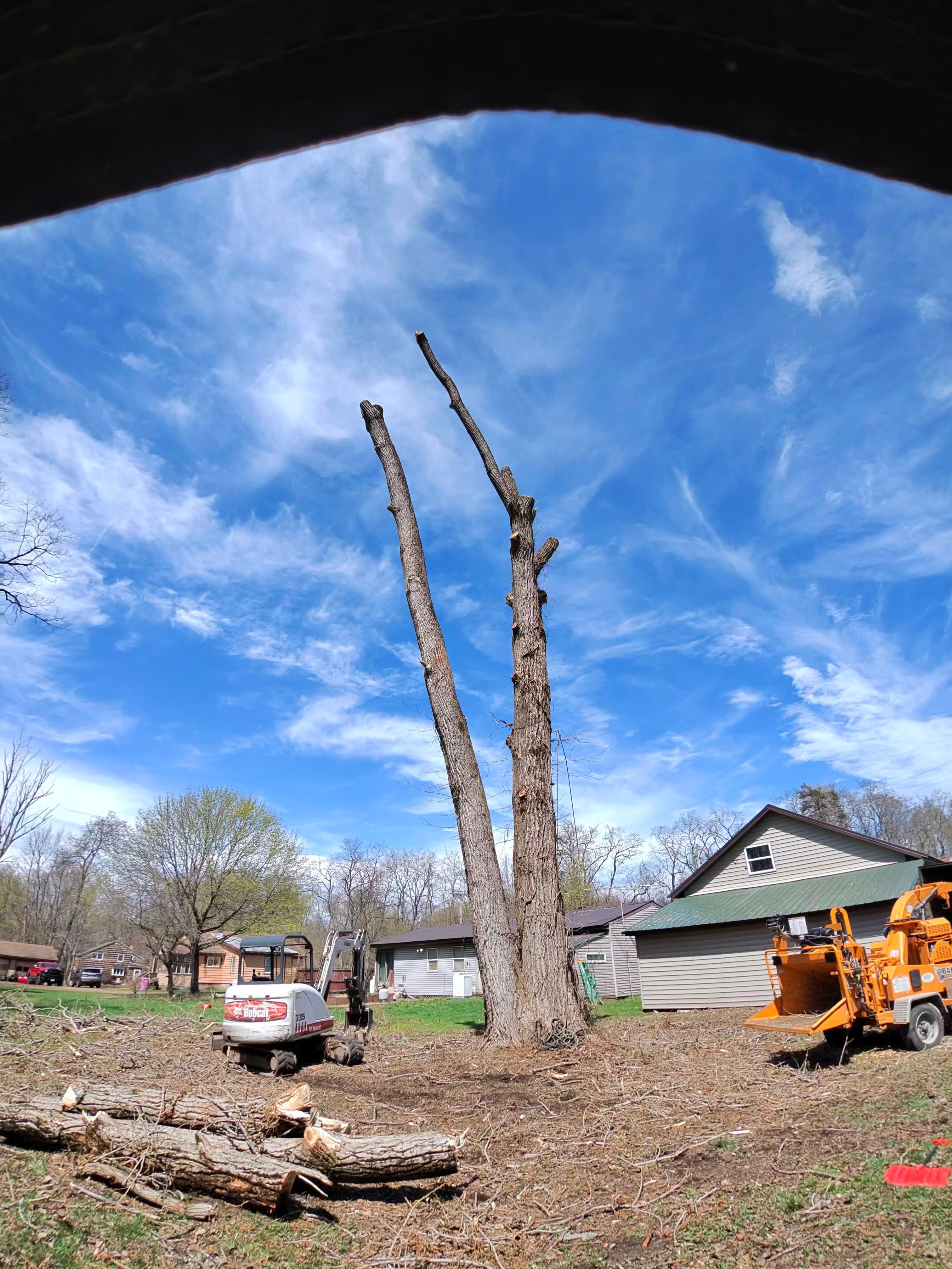  for Lovenguth Logging and Tree Service in West Monroe, NY