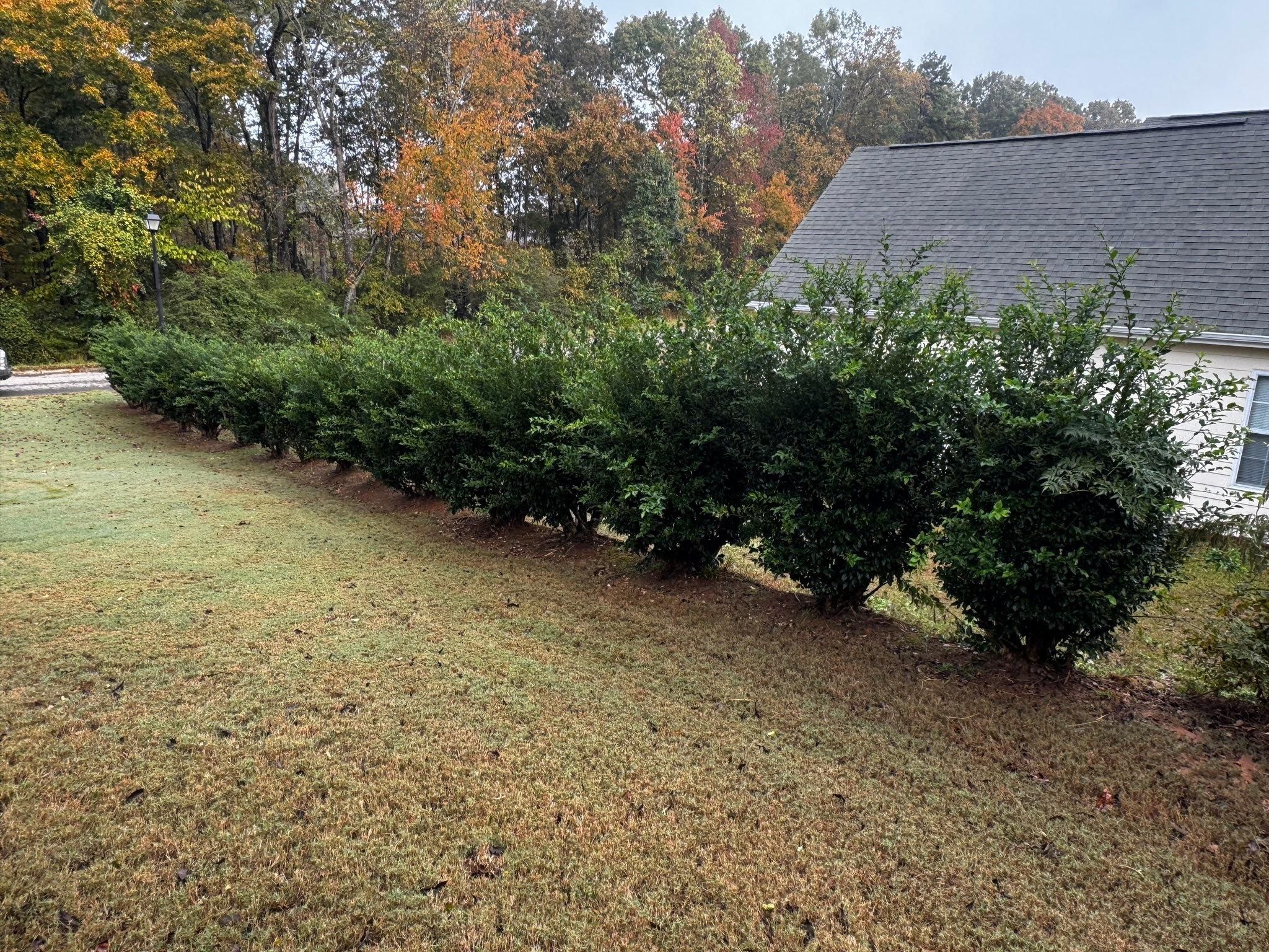  for Deeply Rooted Lawns – Hydroseeding & Sod Installation Services in Winder, GA