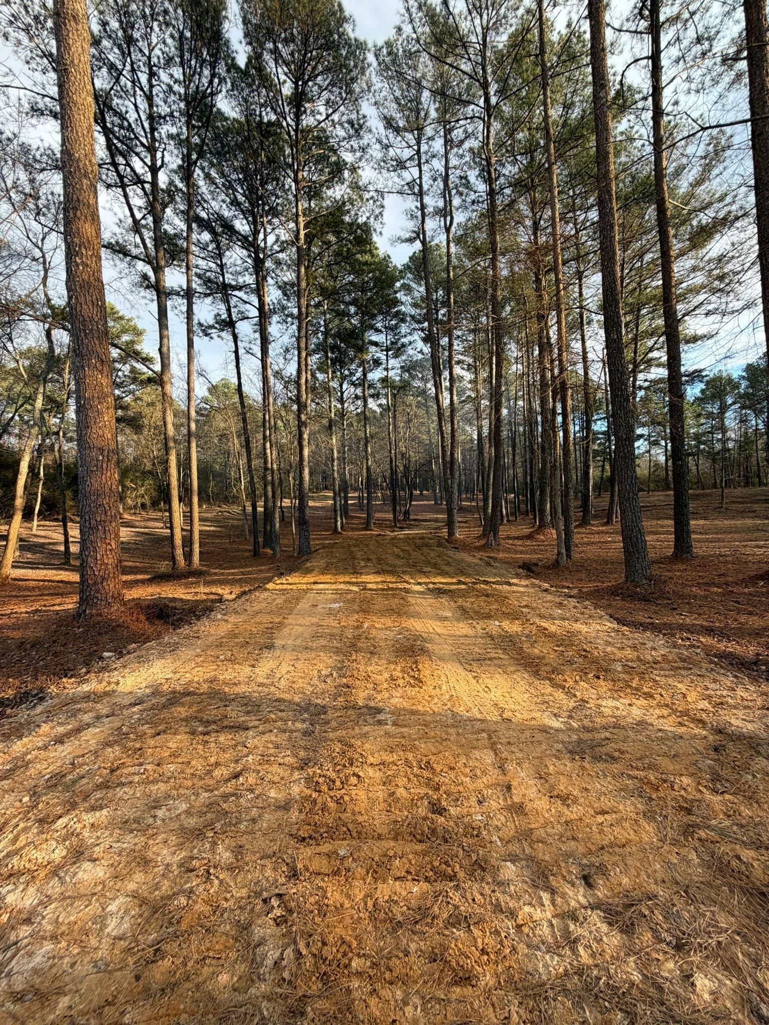  for Collins Constructors in Fyffe, AL