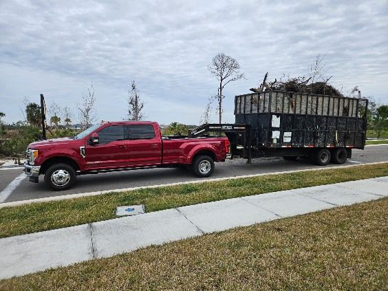 All Photos for Bay Area Bobcat in Riverview, FL