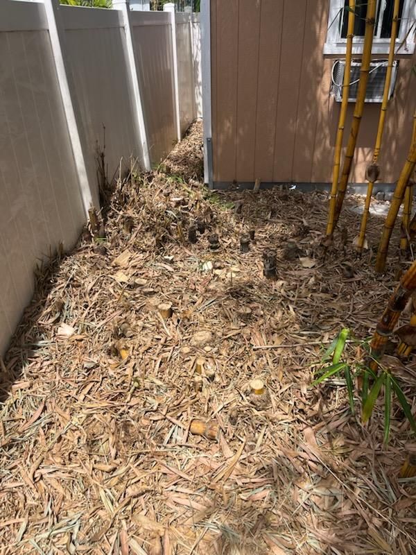  for KB’s Stump Removal in Pinellas county, FL