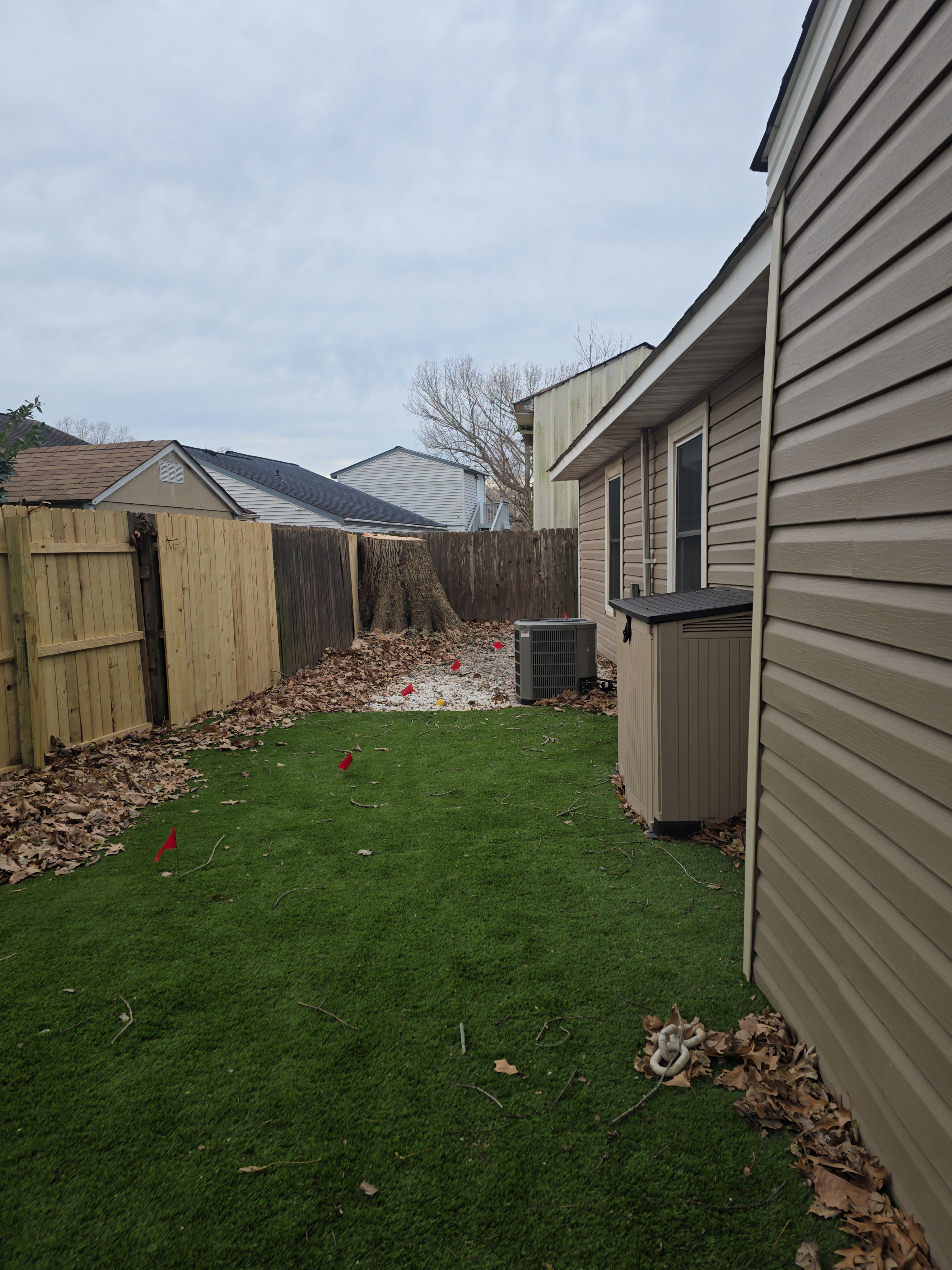  for Beach Tree Care in Virginia Beach, VA