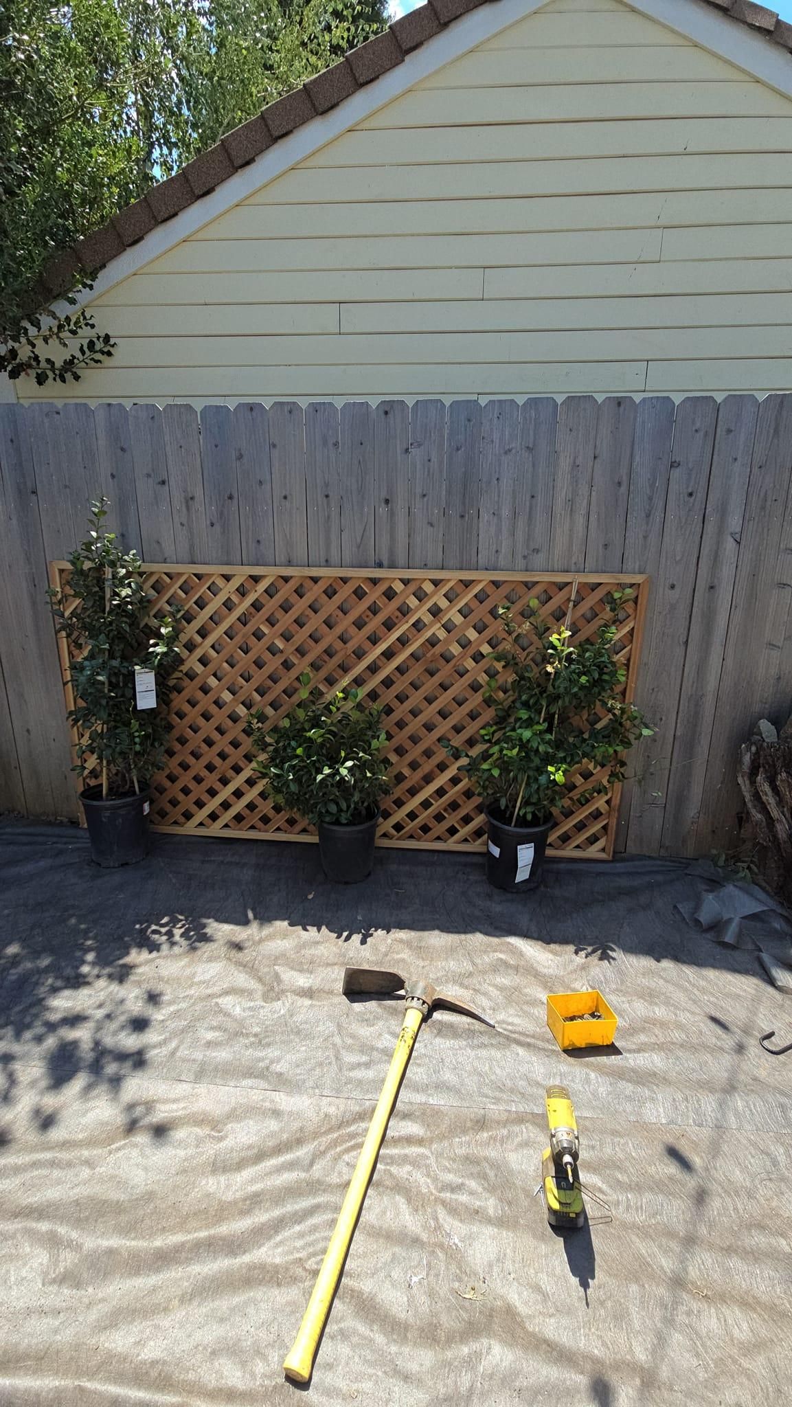  for Terra Heights Tree Experts & Landscaping  in Grass Valley,  CA