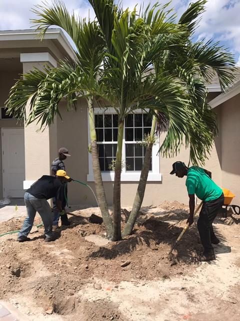 Landscaping for WORKS SOD in West Palm Beach, FL