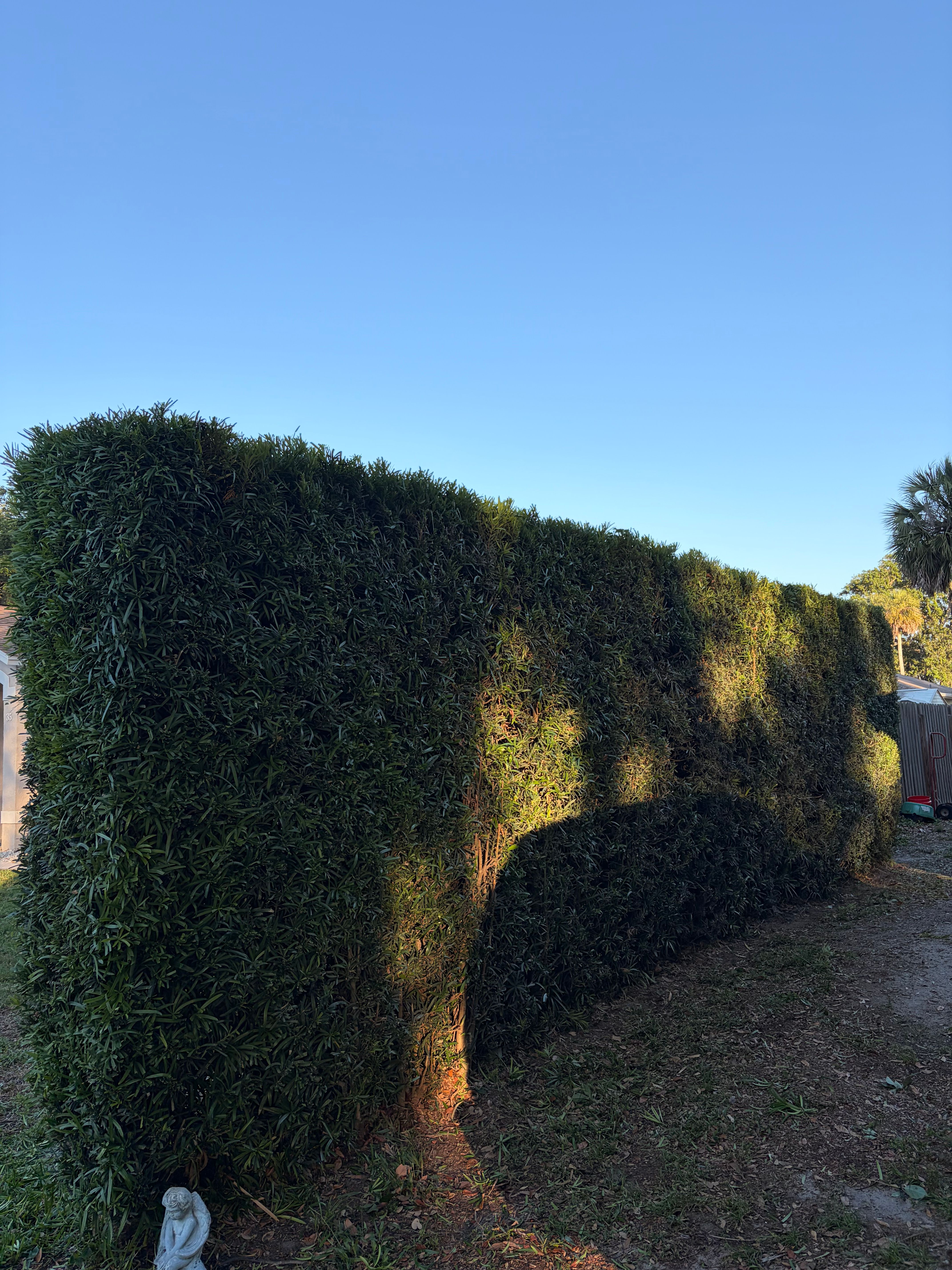  for Vanic's Landscaping in Port Orange, FL