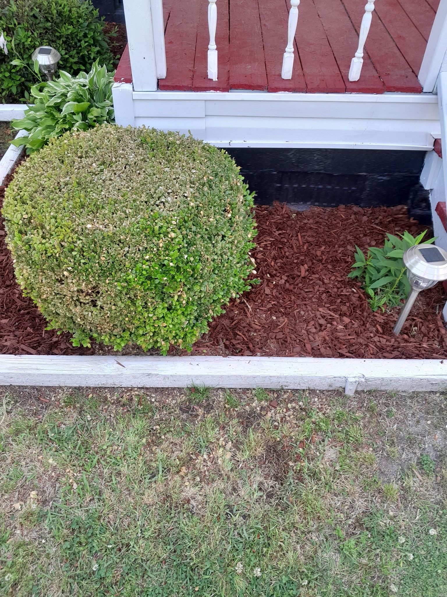  for Handy Al's Landscaping LLC in Greenville, NC