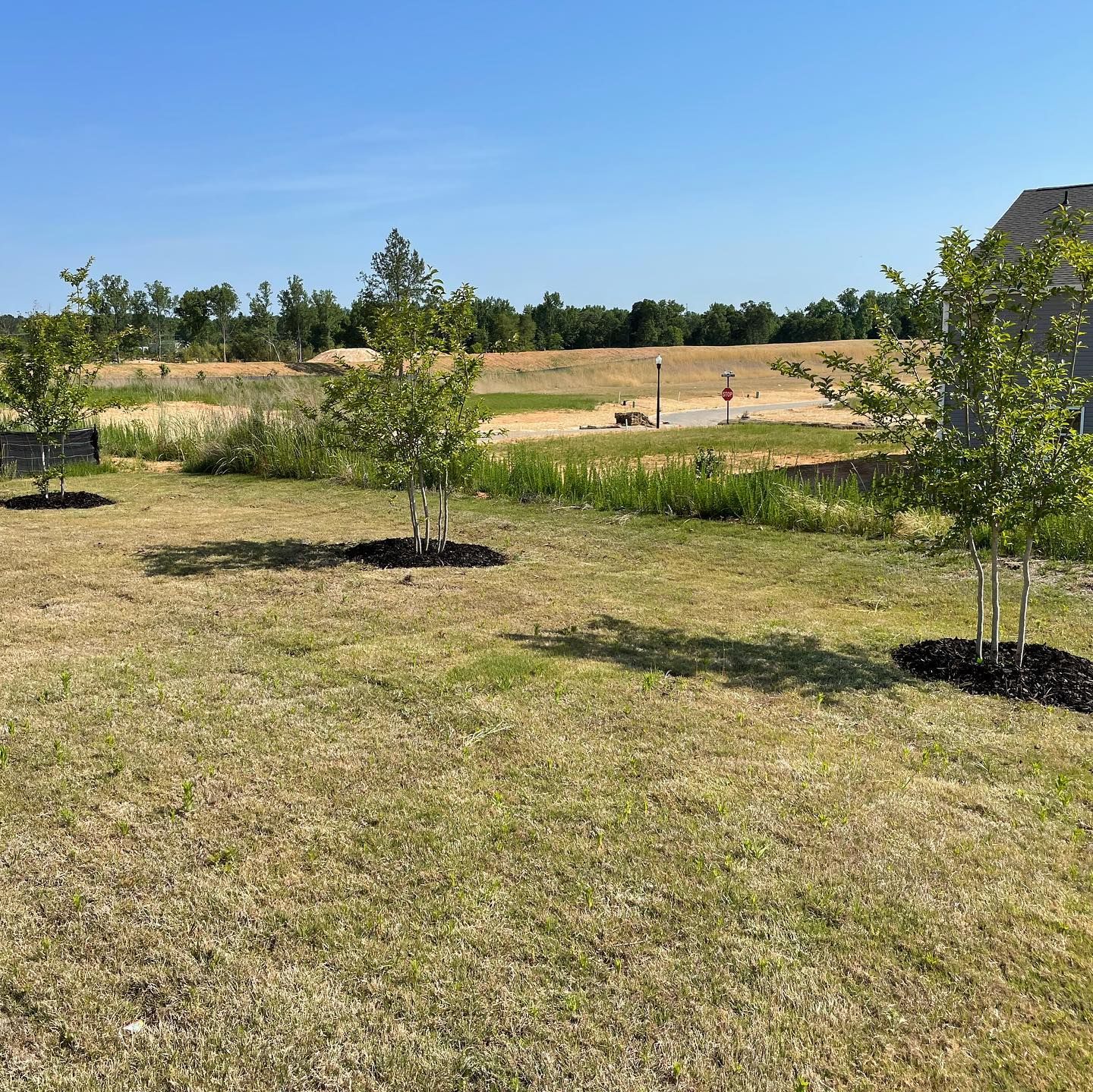 Landscaping for JIF Concrete Services in Greenville, SC